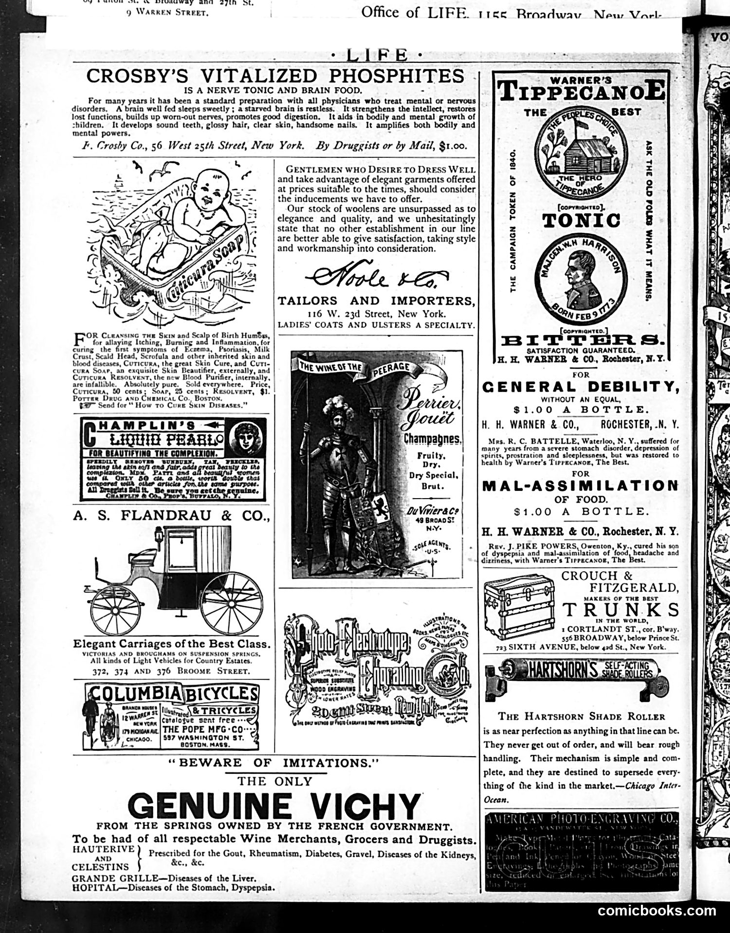 Life — April 30, 1885 — page 16 of 16