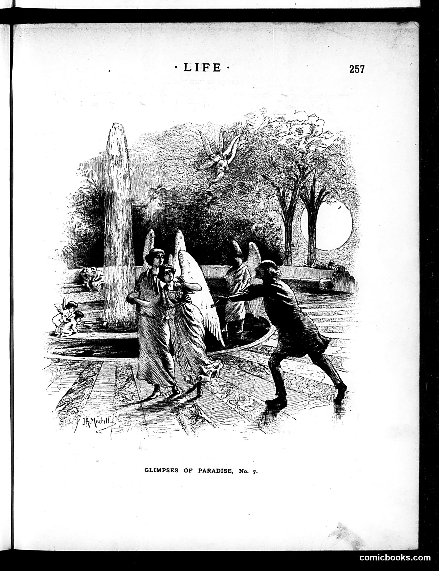 Life — May 7, 1885 — page 5 of 16