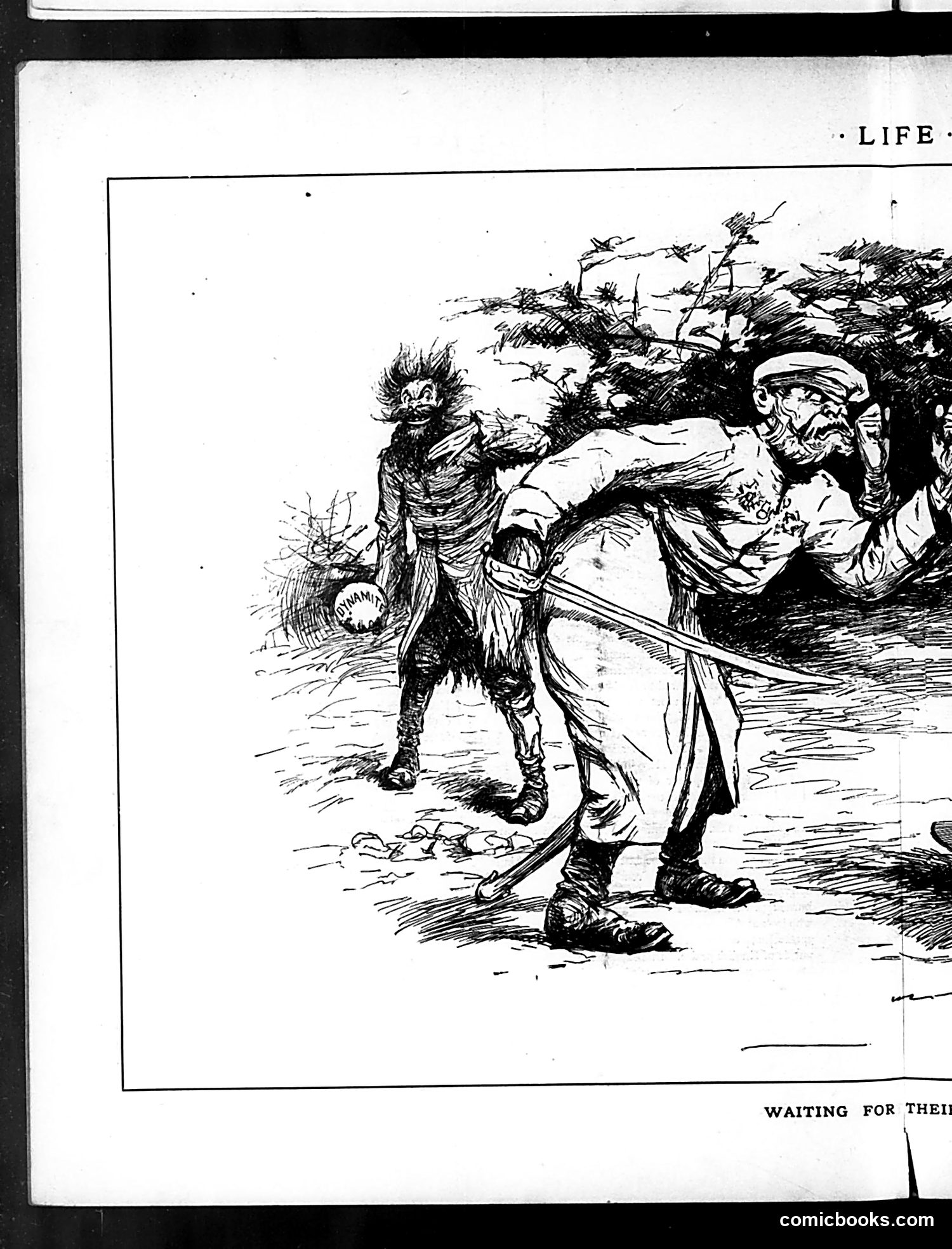 Life — May 7, 1885 — page 8 of 16