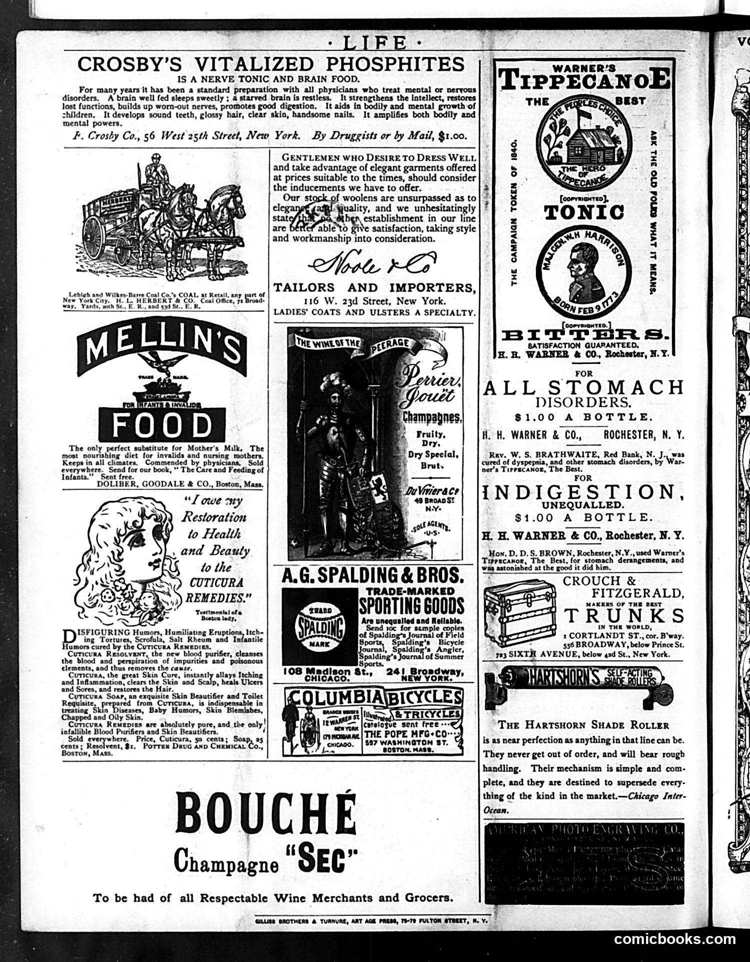 Life — May 7, 1885 — page 16 of 16