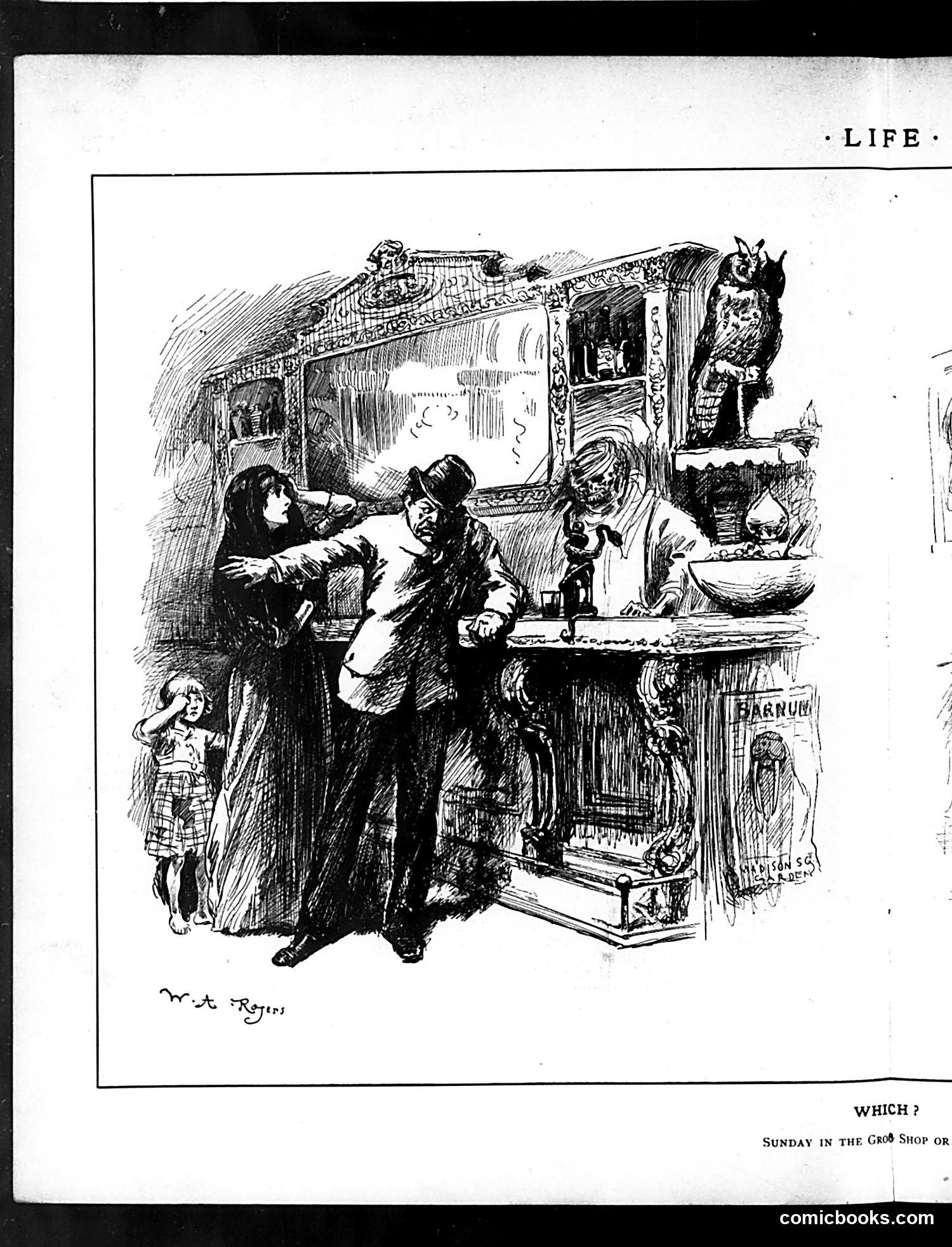 Life — May 14, 1885 — page 8 of 16