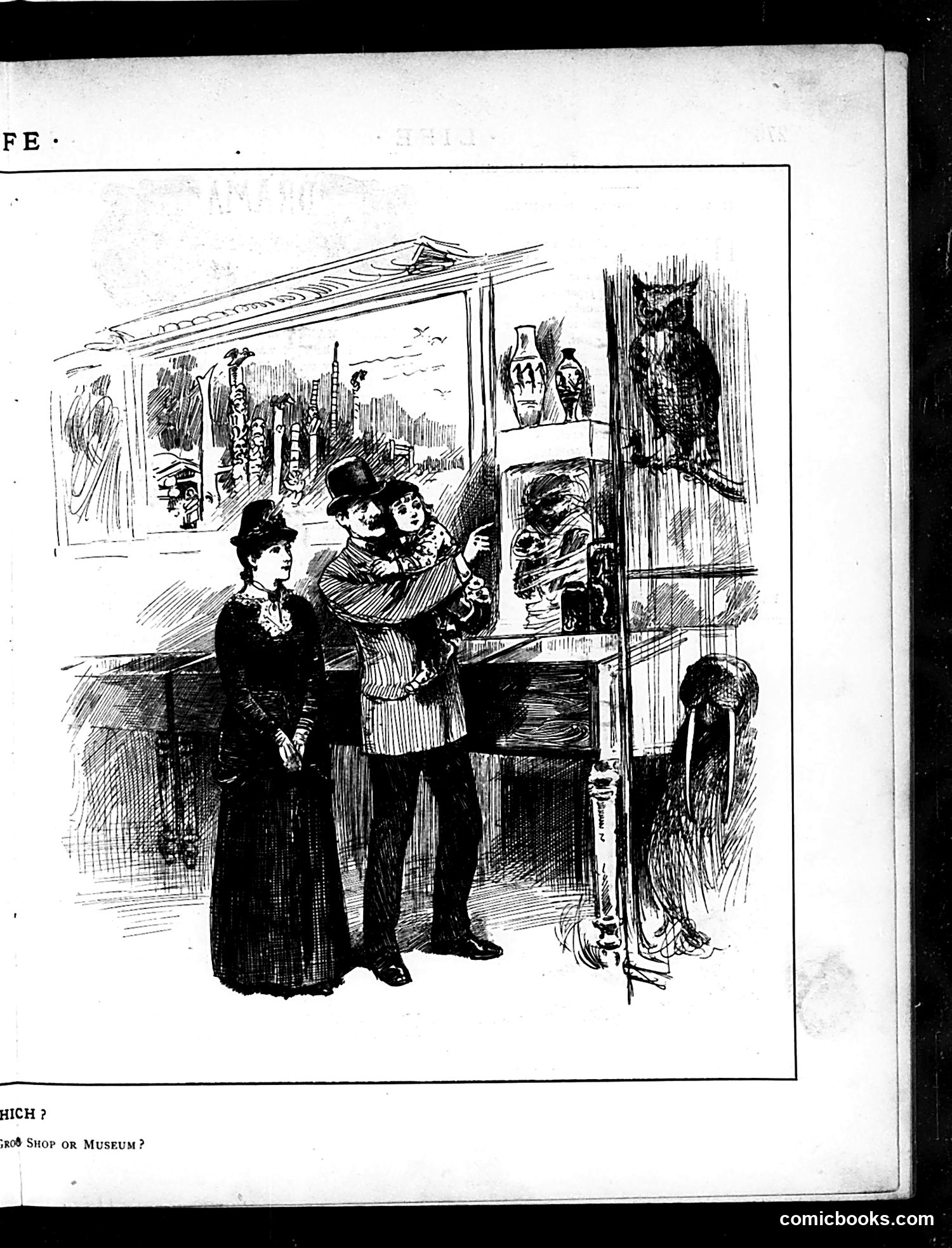 Life — May 14, 1885 — page 9 of 16
