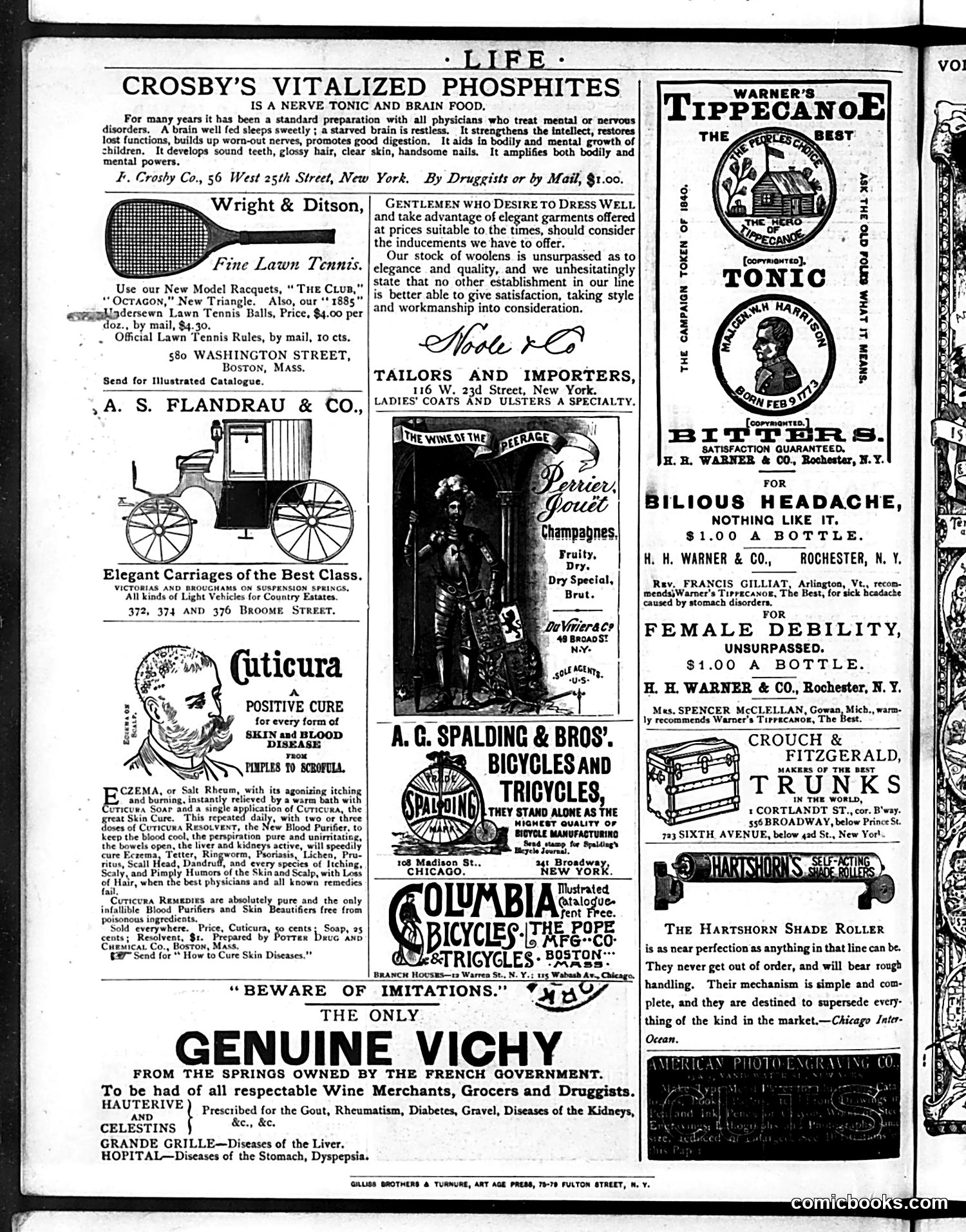 Life — May 14, 1885 — page 16 of 16
