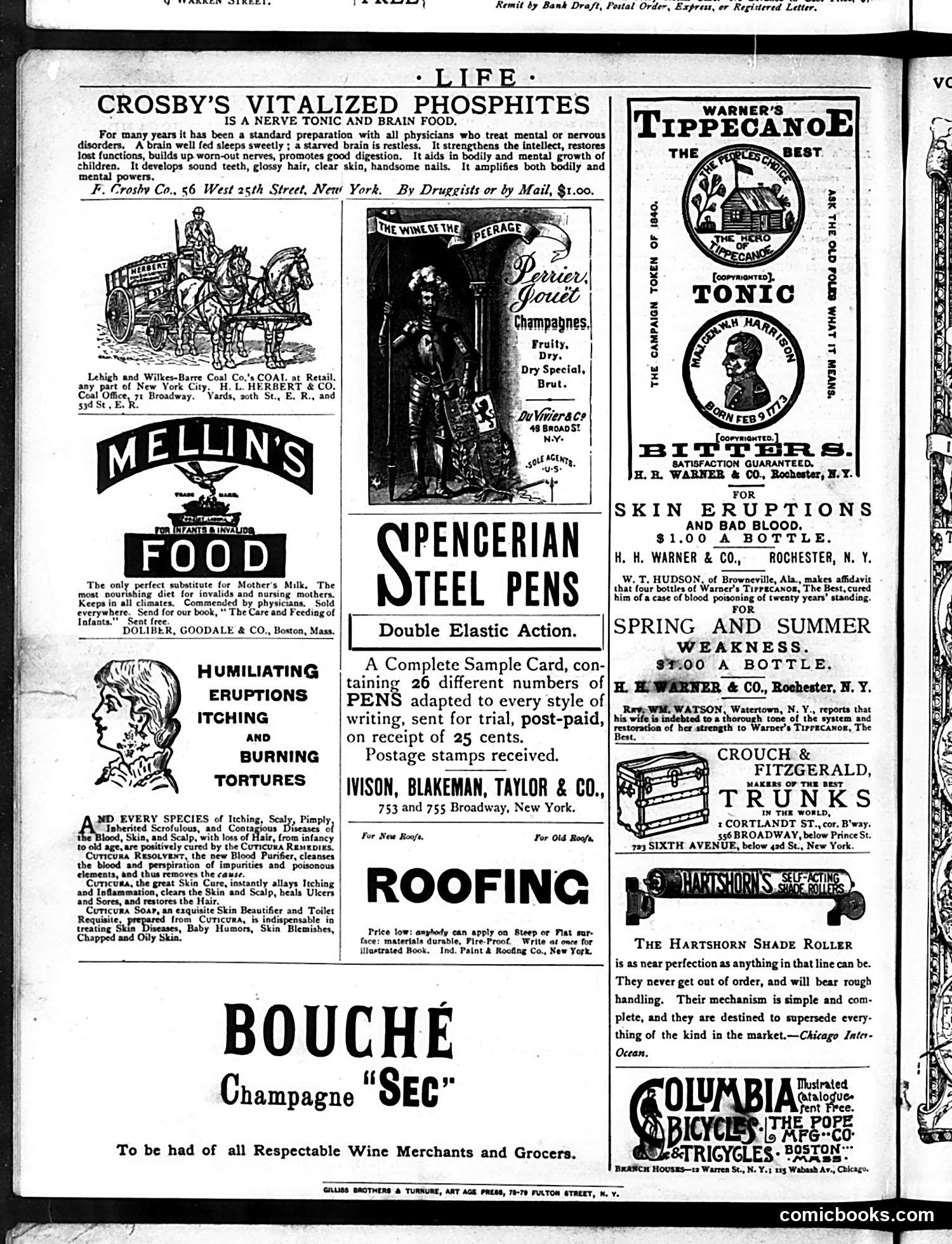 Life — May 21, 1885 — page 16 of 16