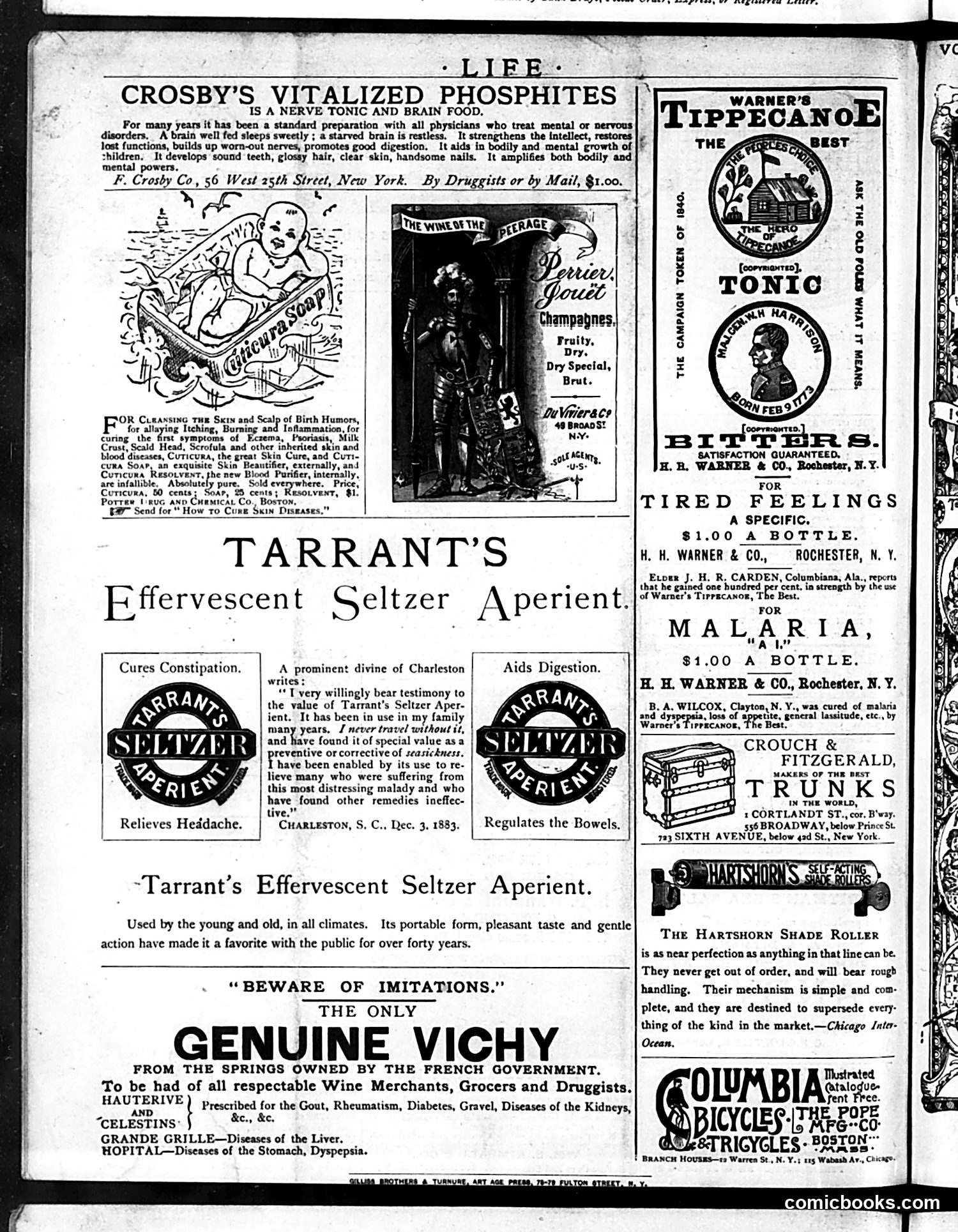 Life — May 28, 1885 — page 16 of 16