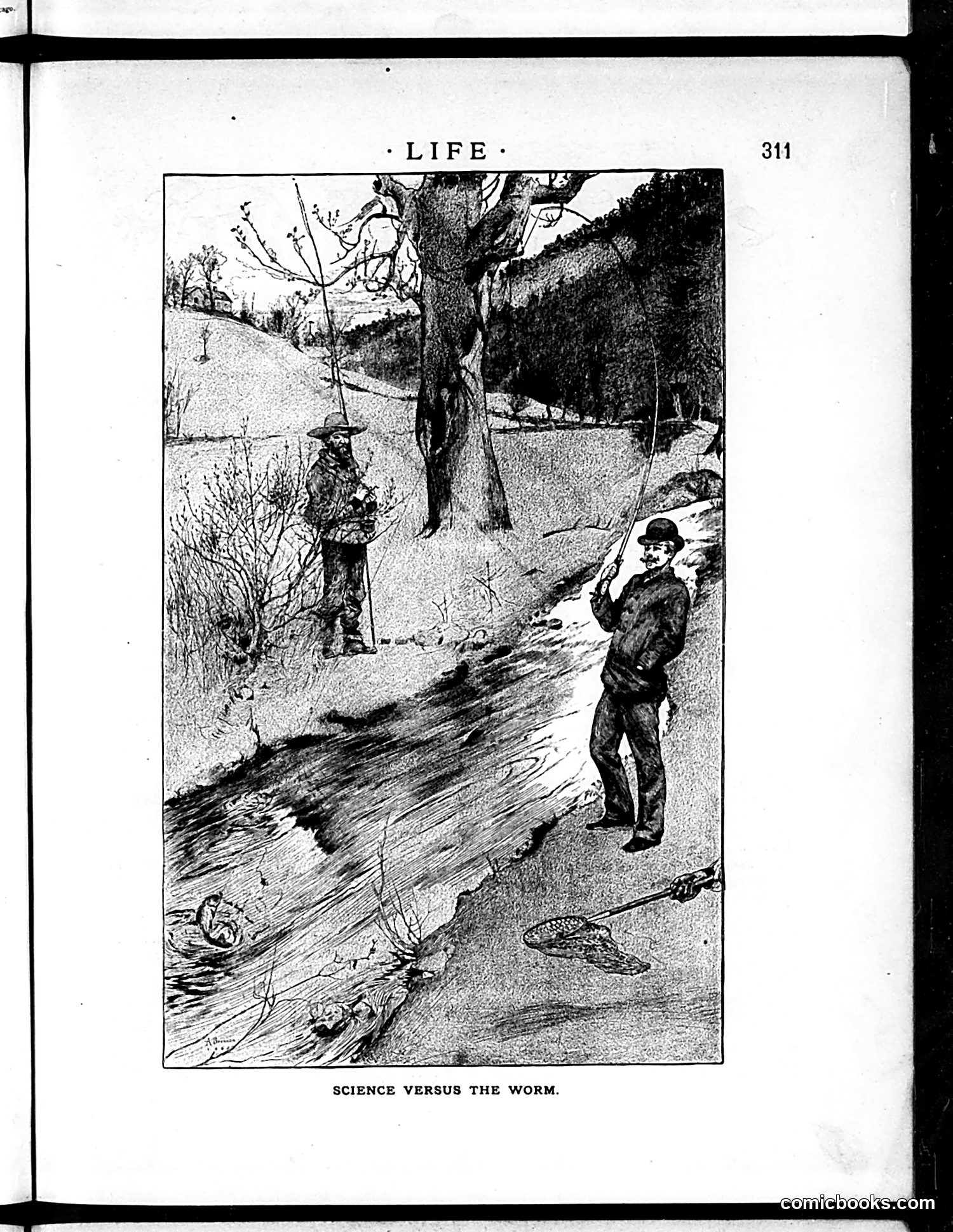 Life — June 4, 1885 — page 3 of 16