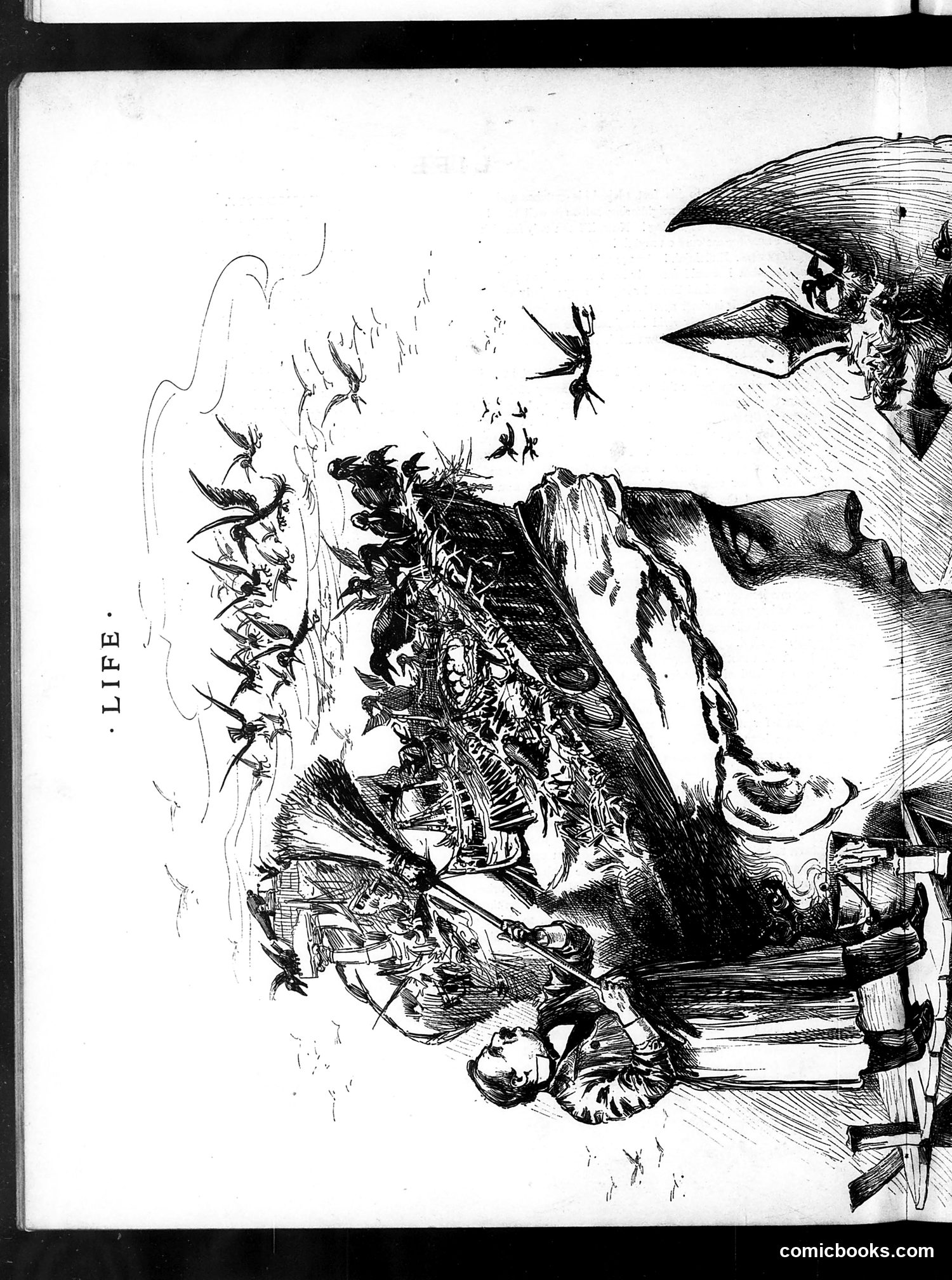 Life — June 4, 1885 — page 8 of 16