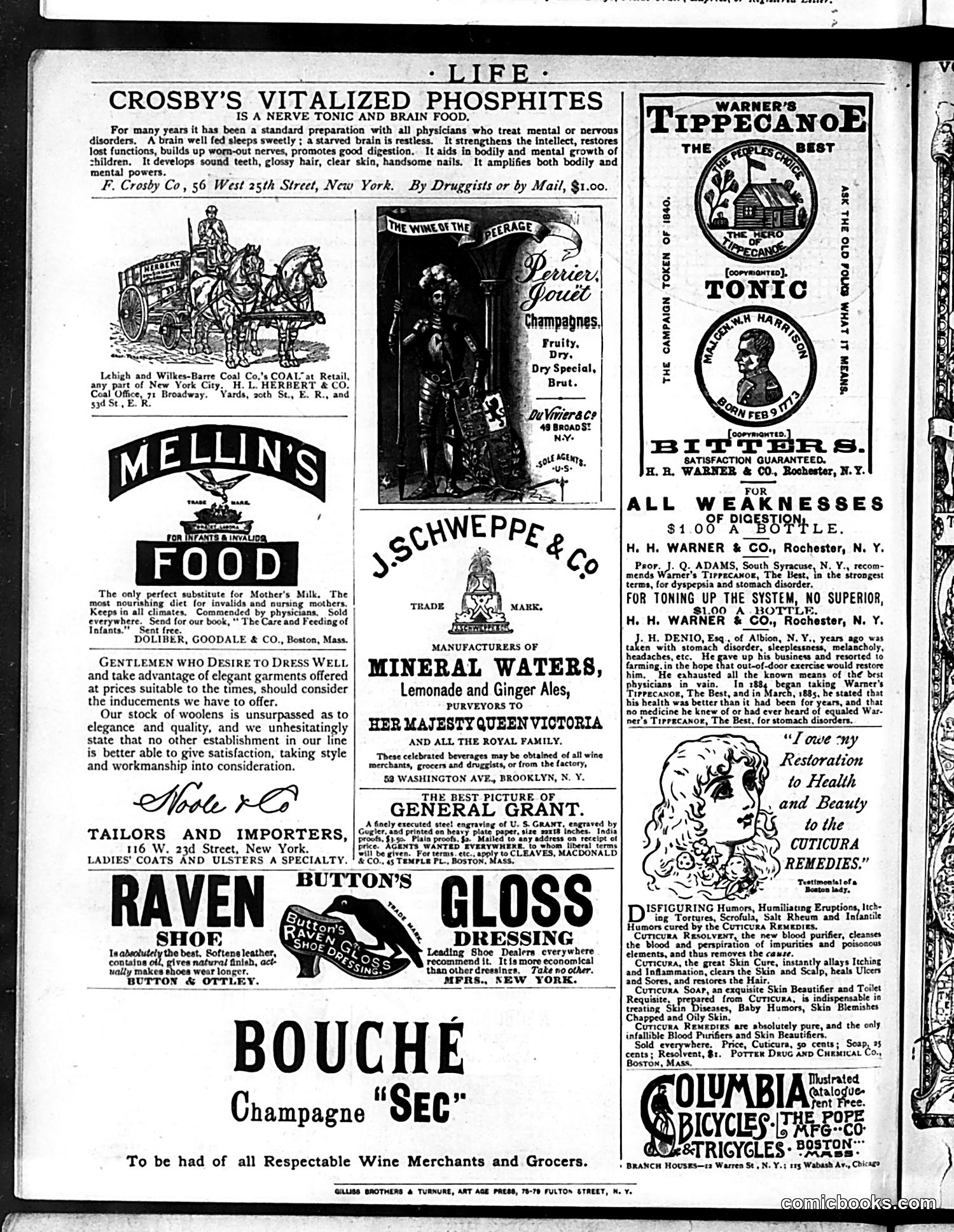 Life — June 4, 1885 — page 16 of 16