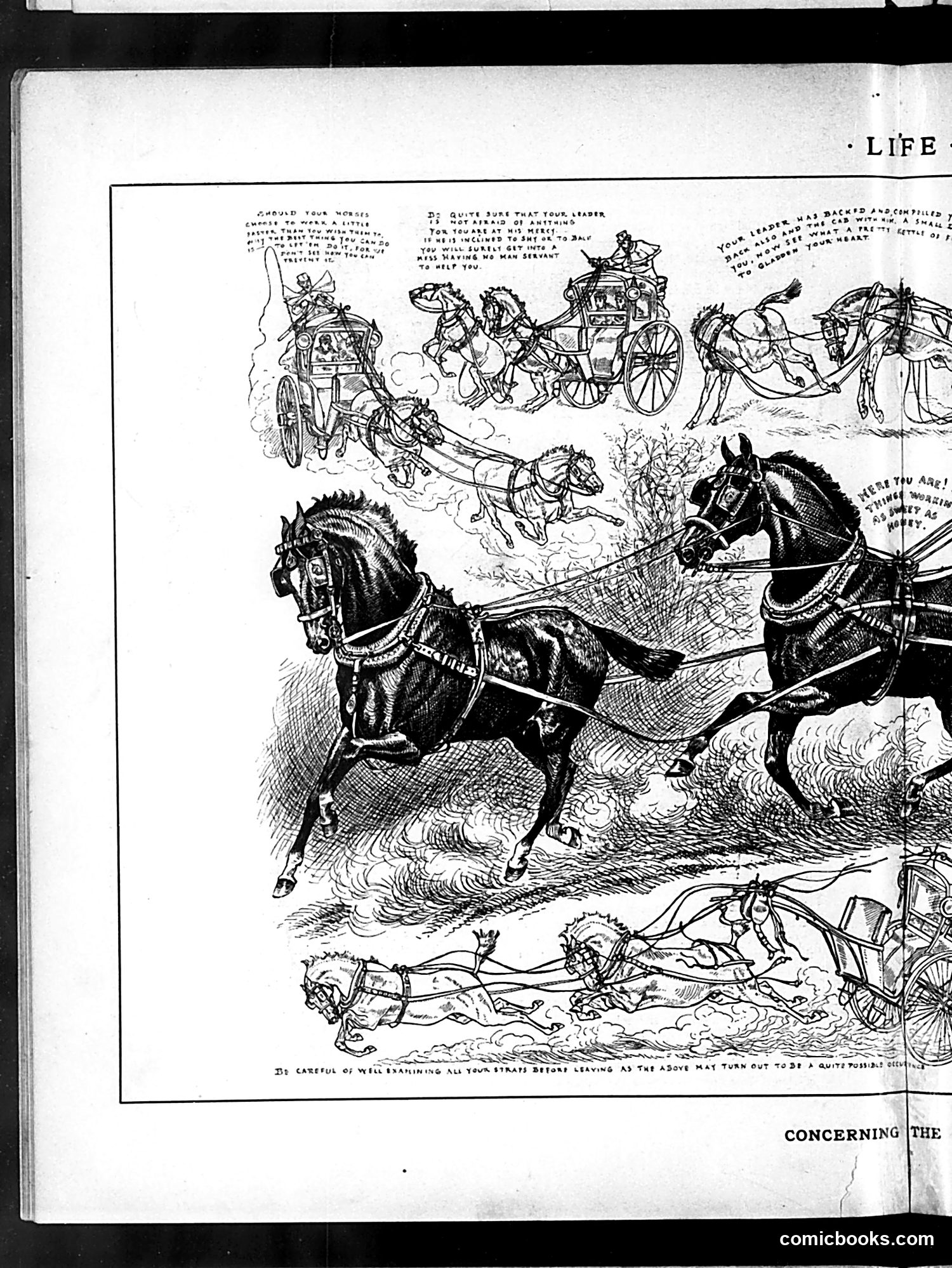 Life — June 11, 1885 — page 8 of 16