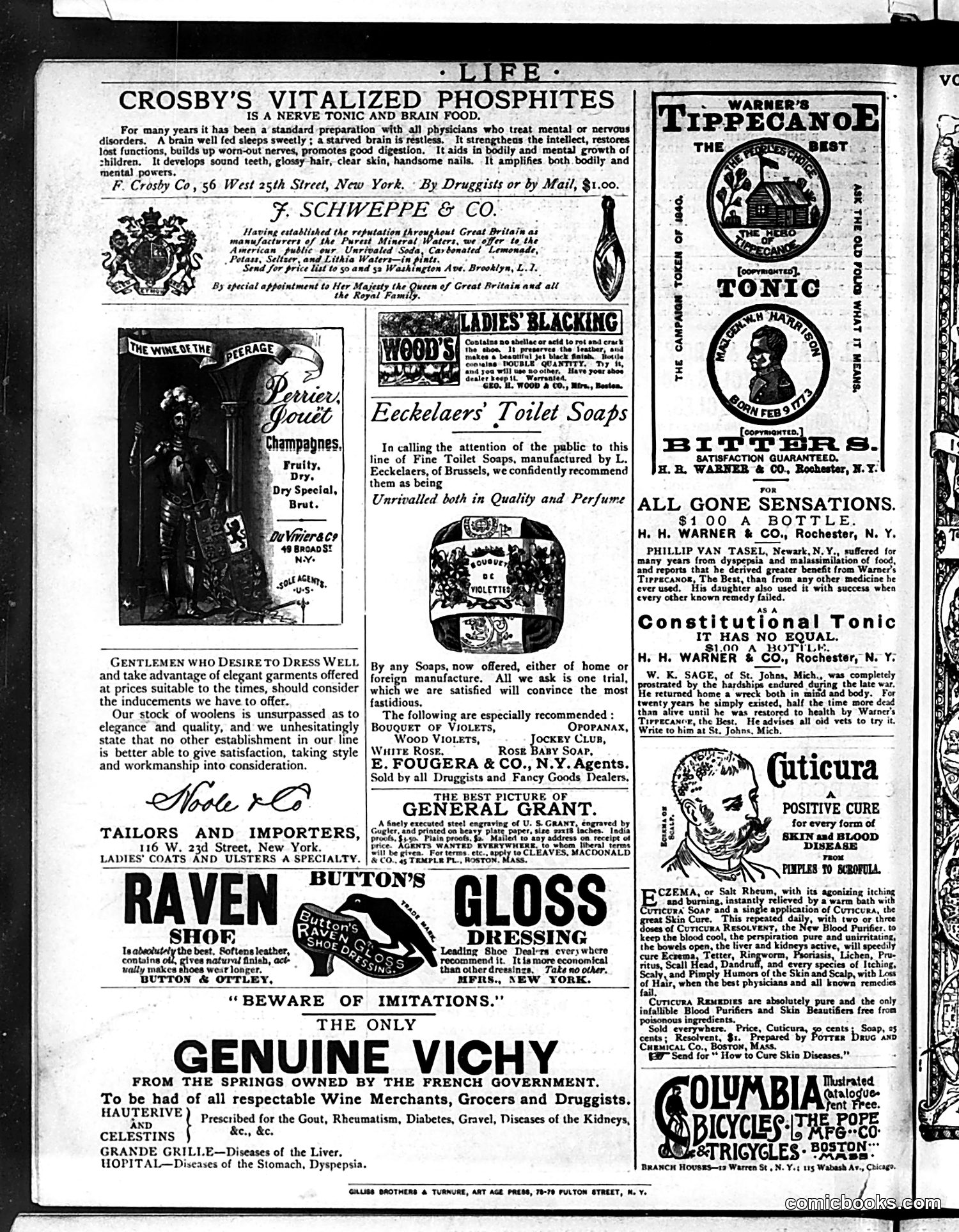 Life — June 11, 1885 — page 16 of 16
