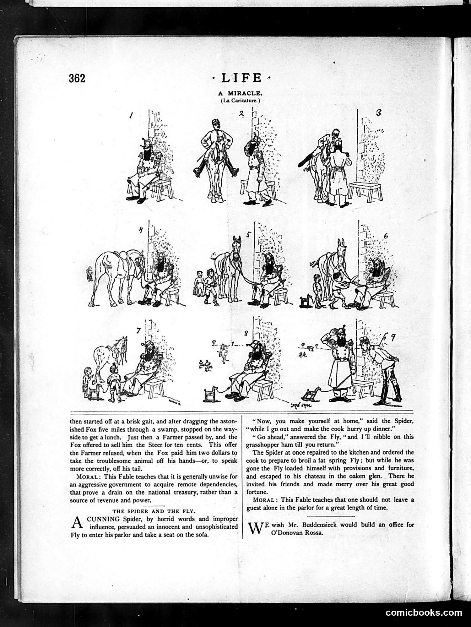 Life — June 25, 1885 — page 12 of 17