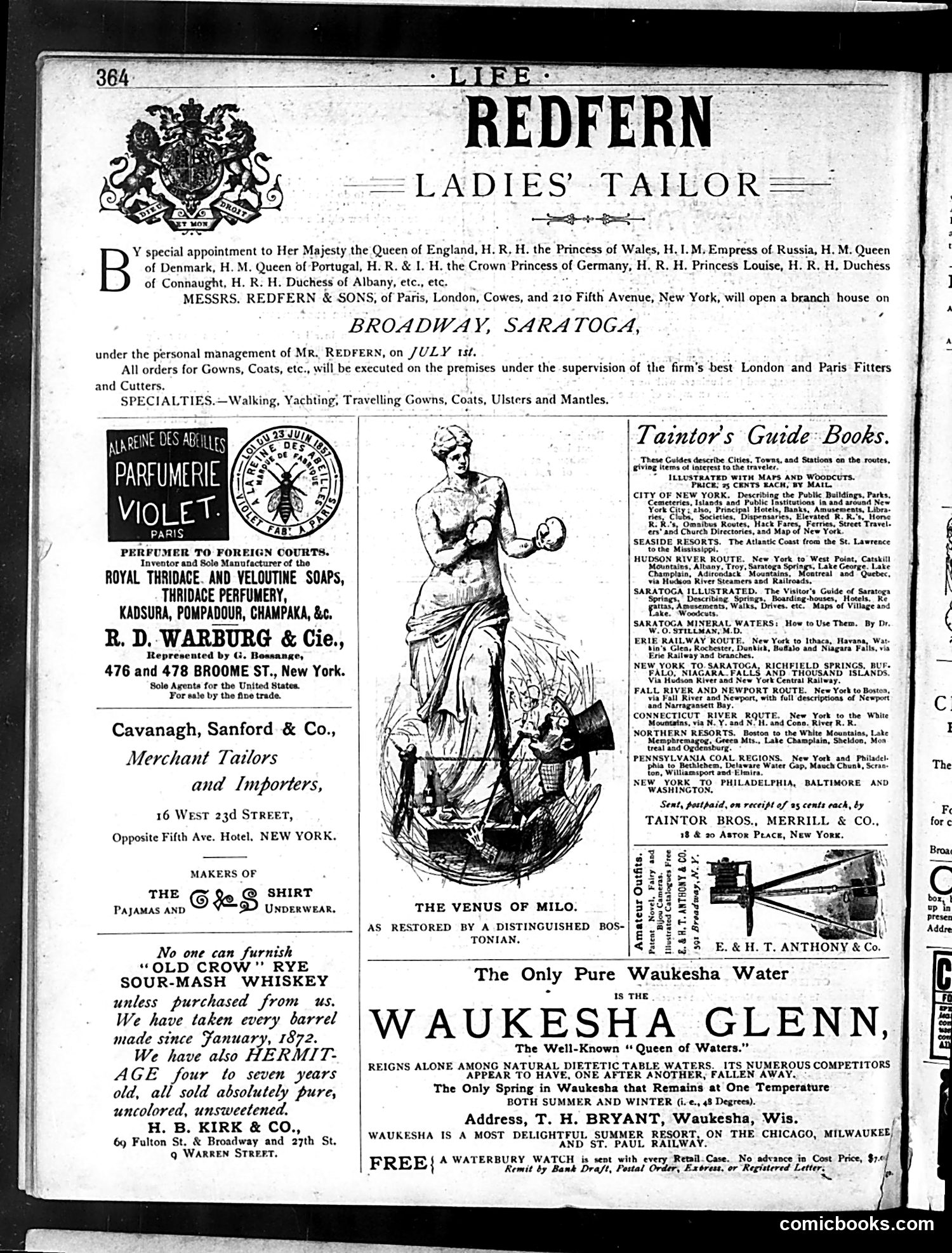 Life — June 25, 1885 — page 14 of 17