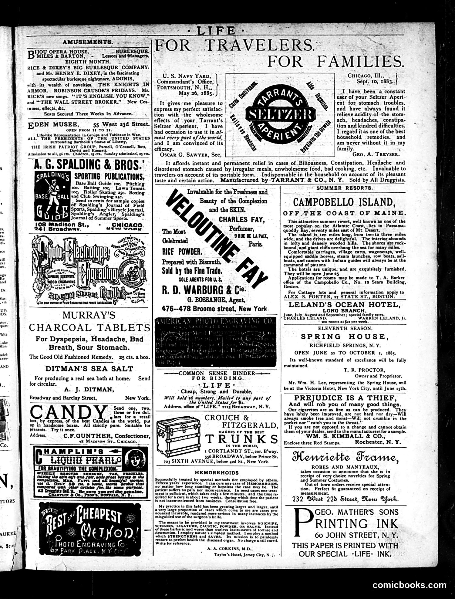 Life — June 25, 1885 — page 15 of 17