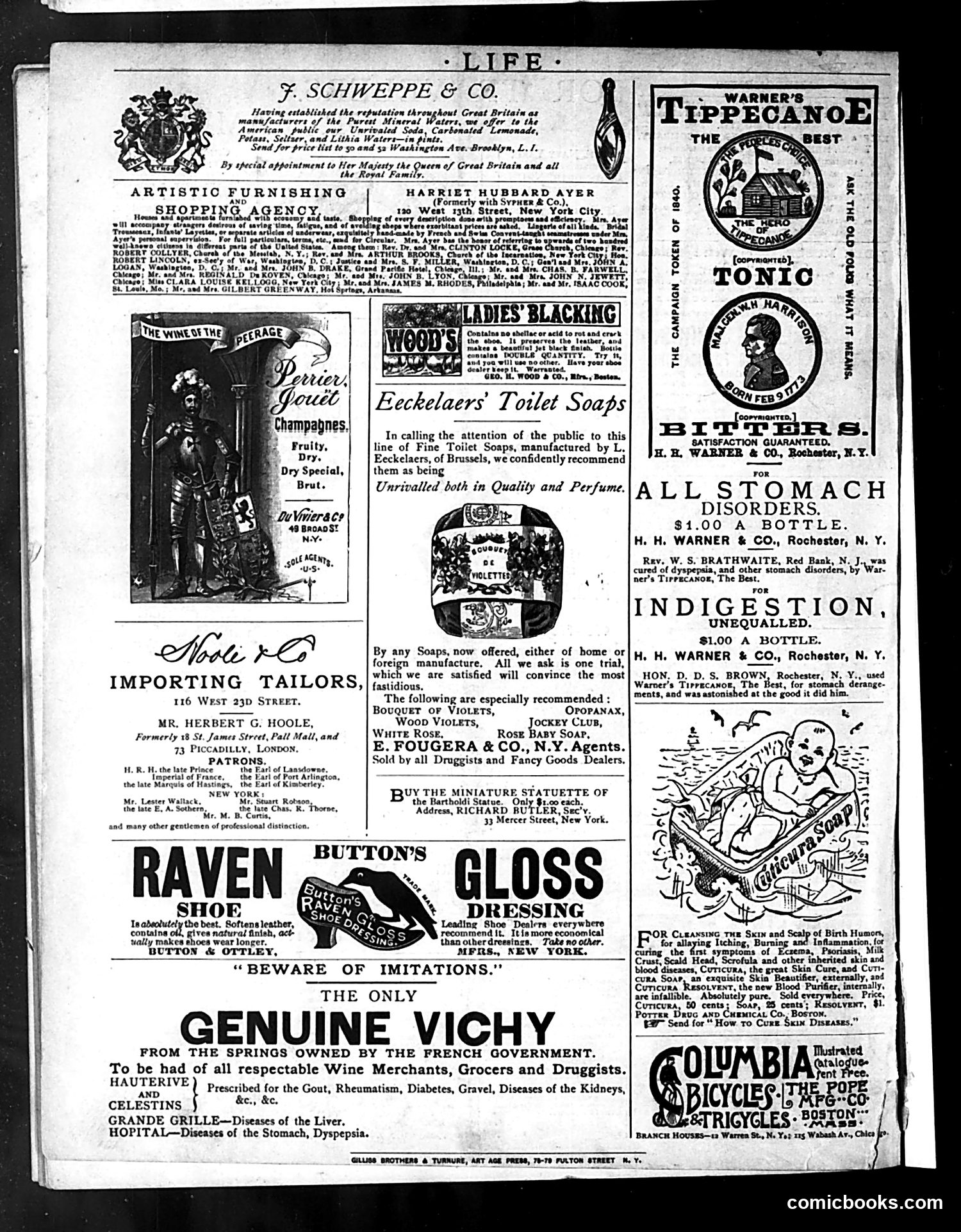 Life — June 25, 1885 — page 16 of 17