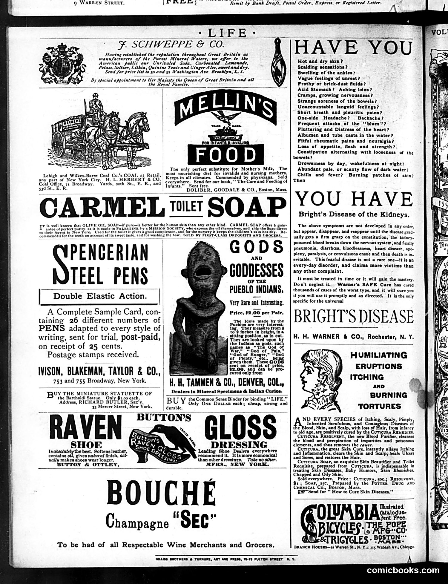 Life — July 16, 1885 — page 16 of 16