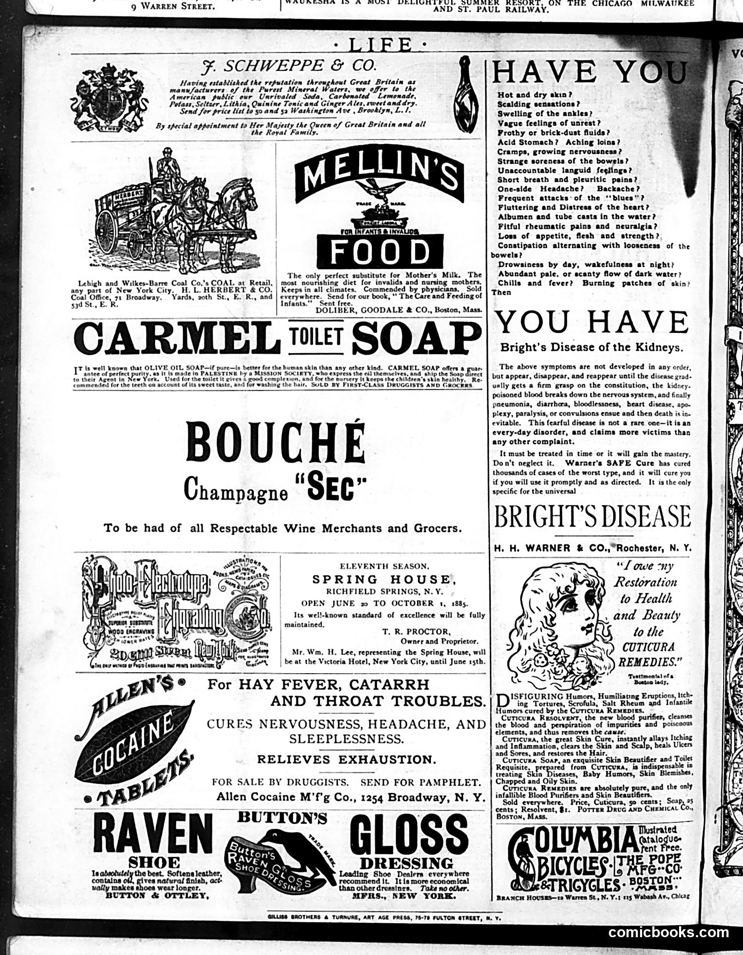 Life — July 30, 1885 — page 16 of 16
