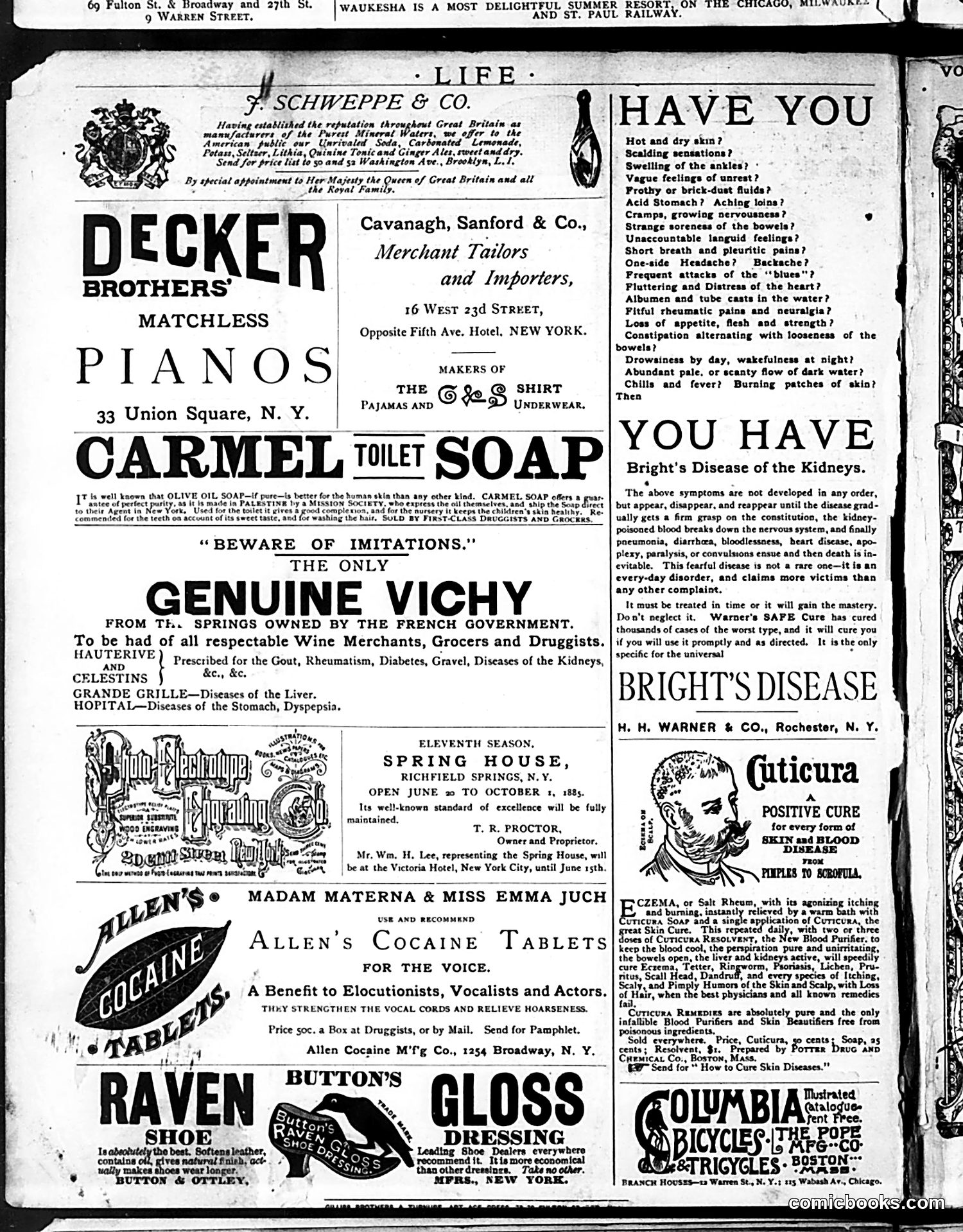 Life — August 6, 1885 — page 16 of 16