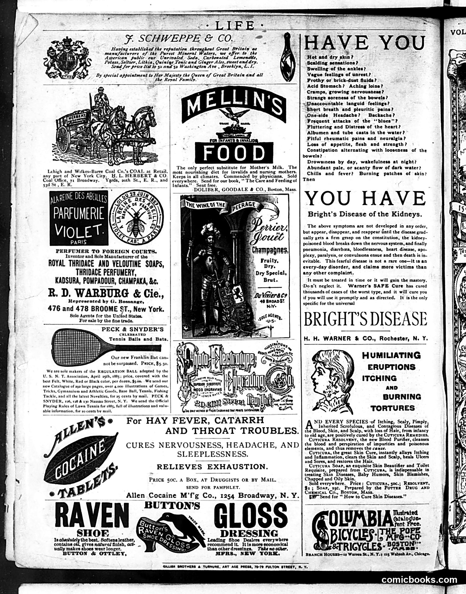 Life — August 13, 1885 — page 16 of 16