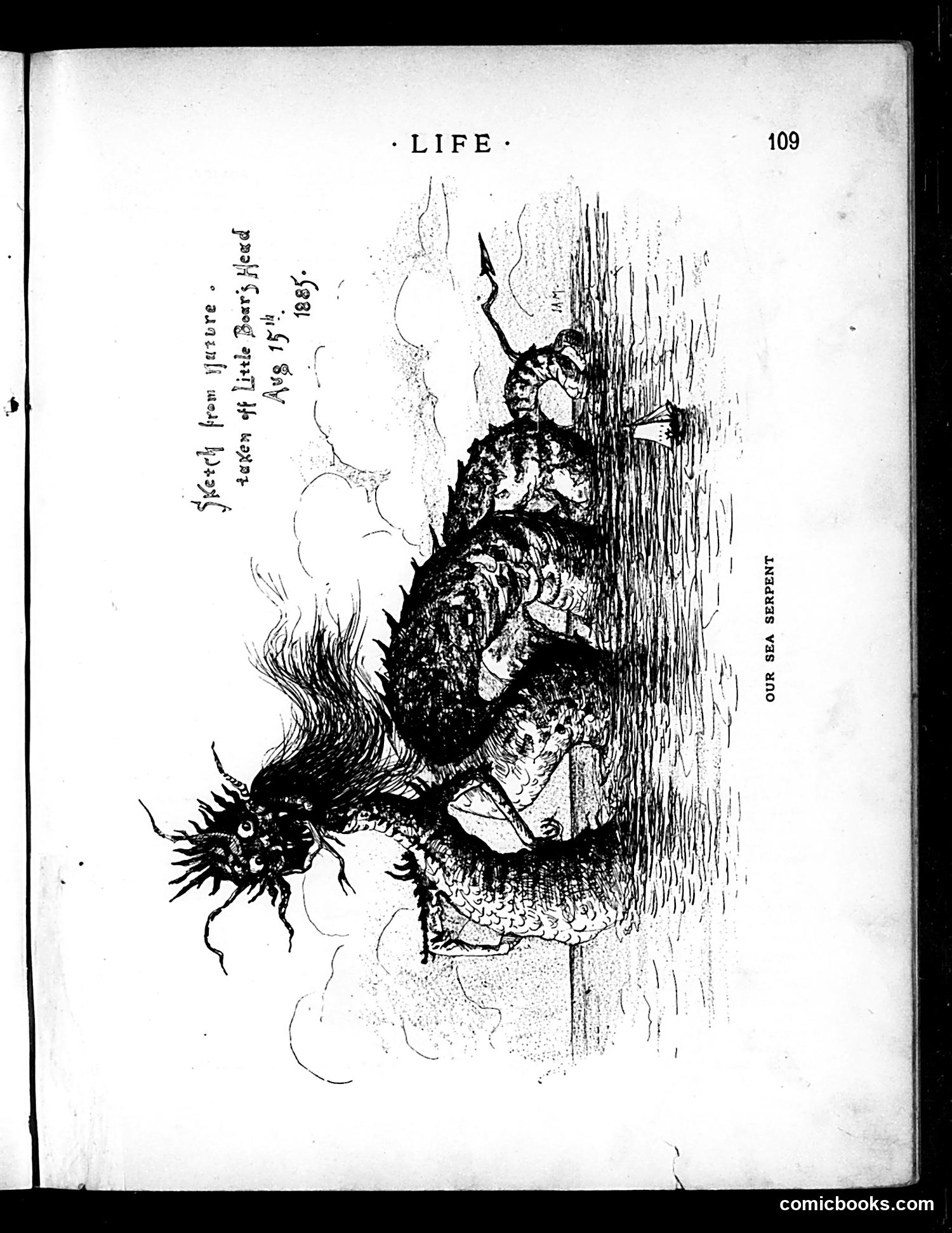 Life — August 20, 1885 — page 11 of 16