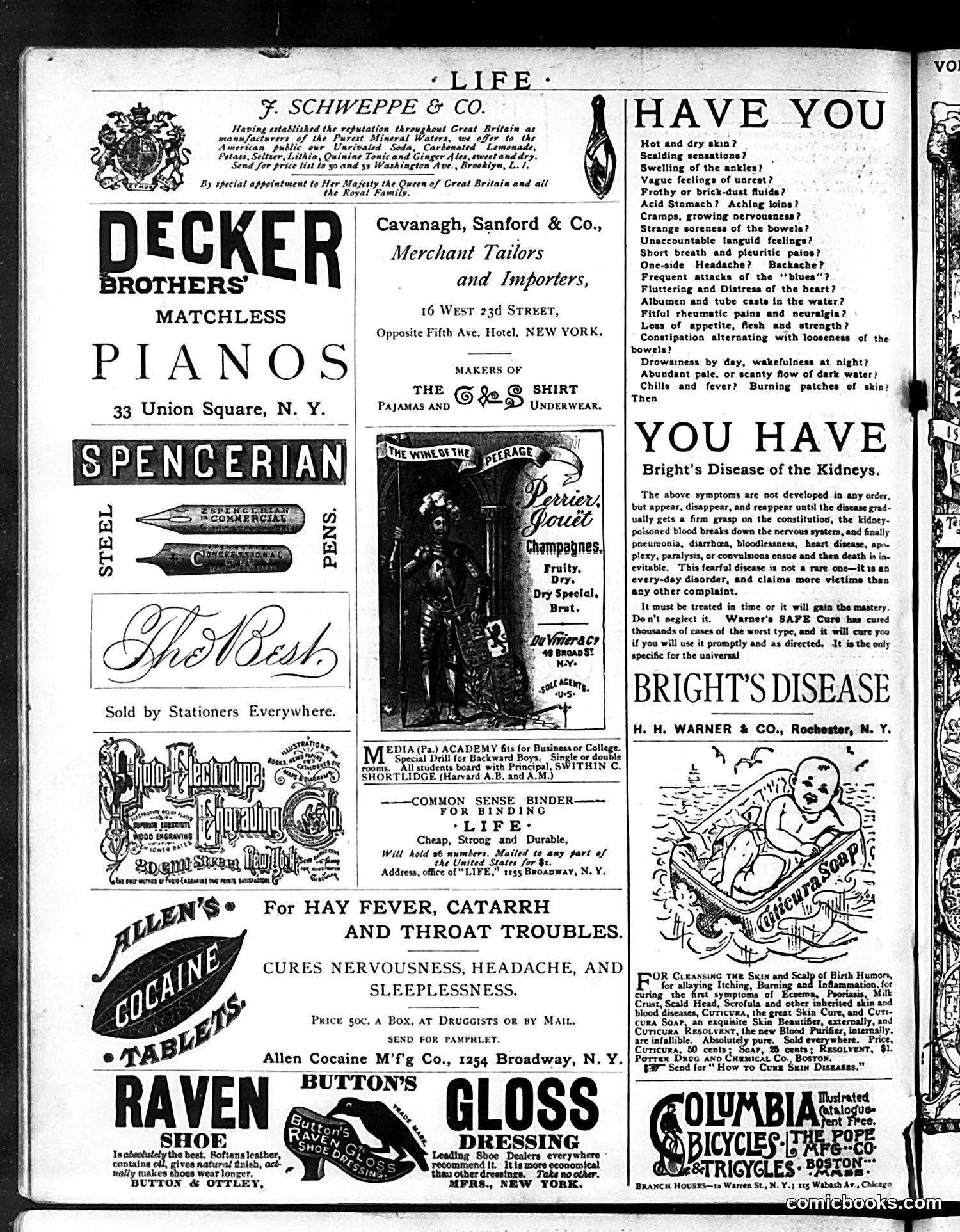 Life — August 20, 1885 — page 16 of 16