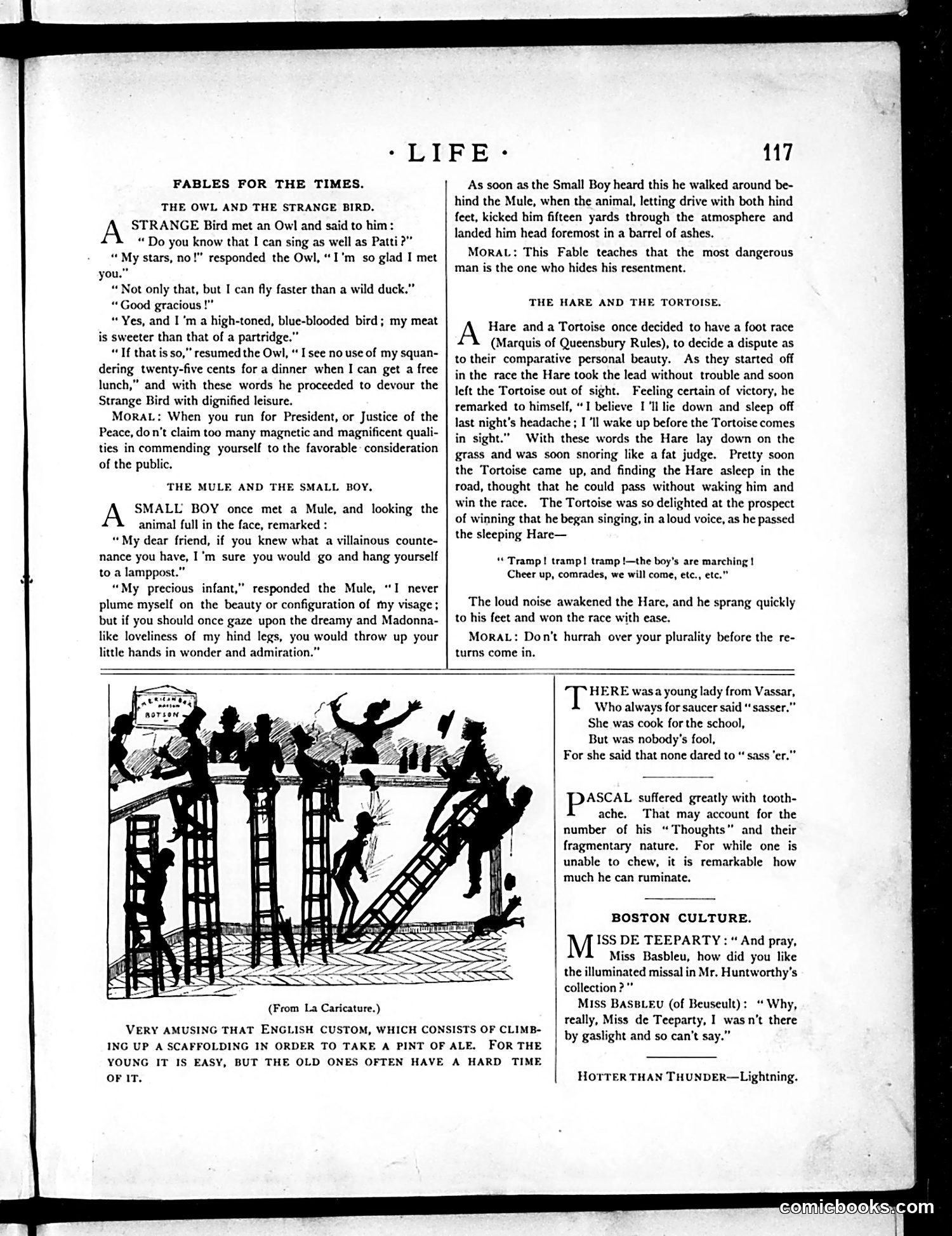 Life — August 27, 1885 — page 5 of 16