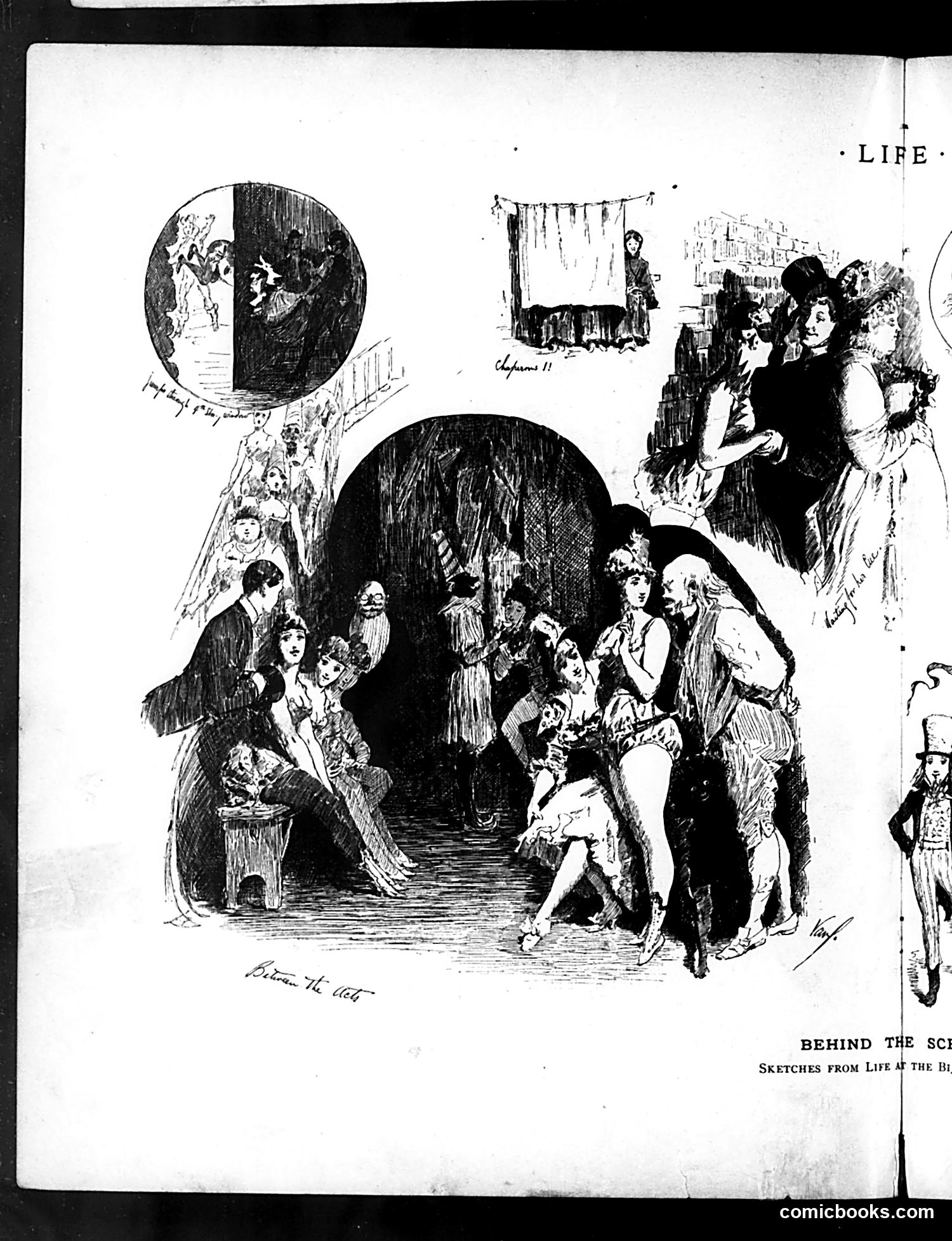 Life — August 27, 1885 — page 8 of 16