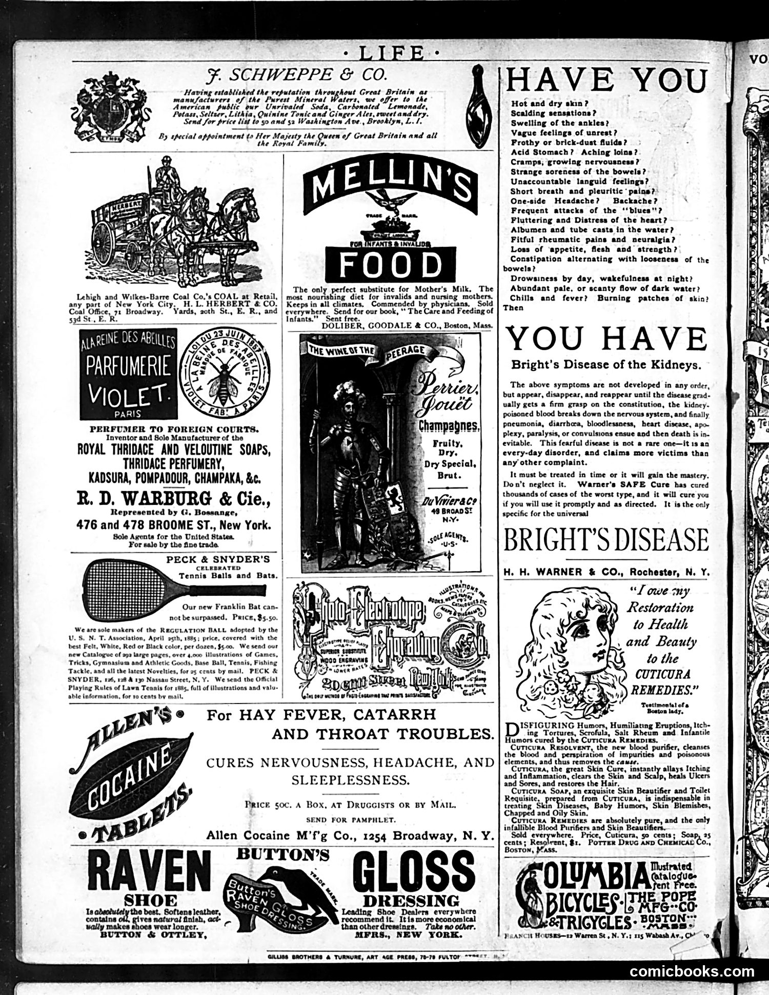 Life — August 27, 1885 — page 16 of 16