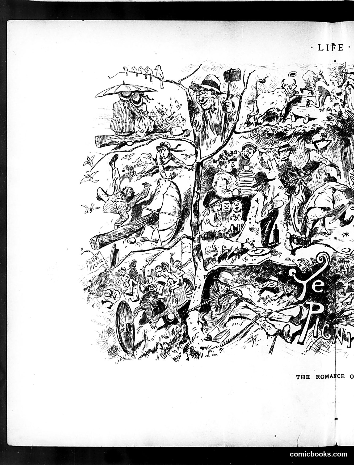 Life — September 3, 1885 — page 8 of 16