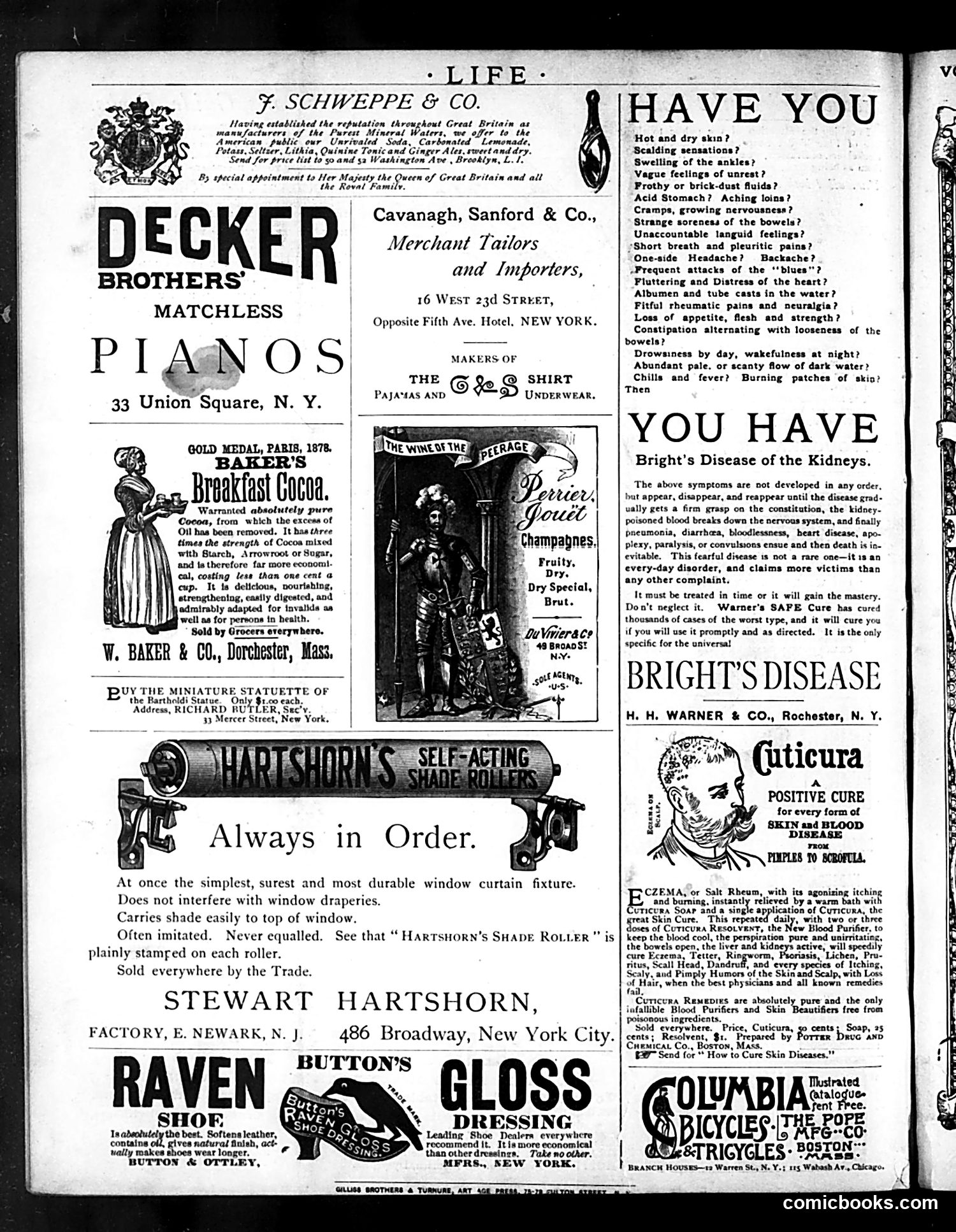 Life — September 3, 1885 — page 16 of 16