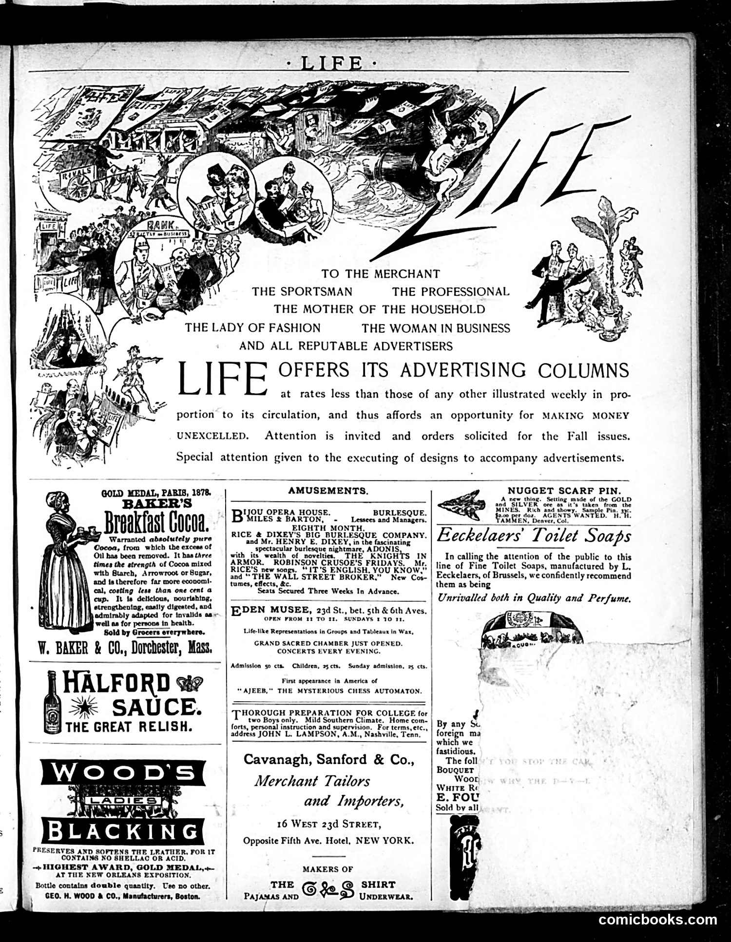 Life — September 10, 1885 — page 15 of 16