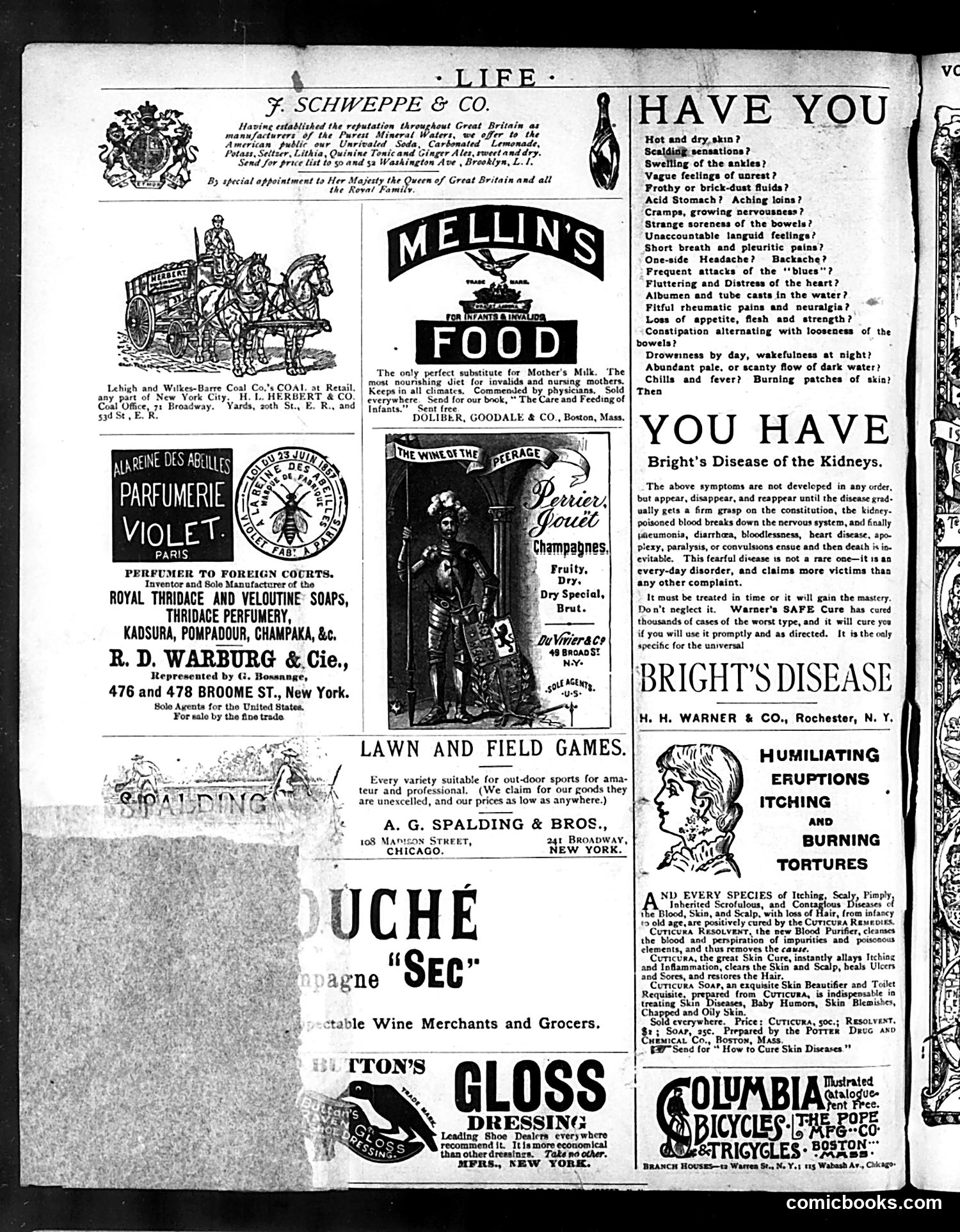 Life — September 10, 1885 — page 16 of 16