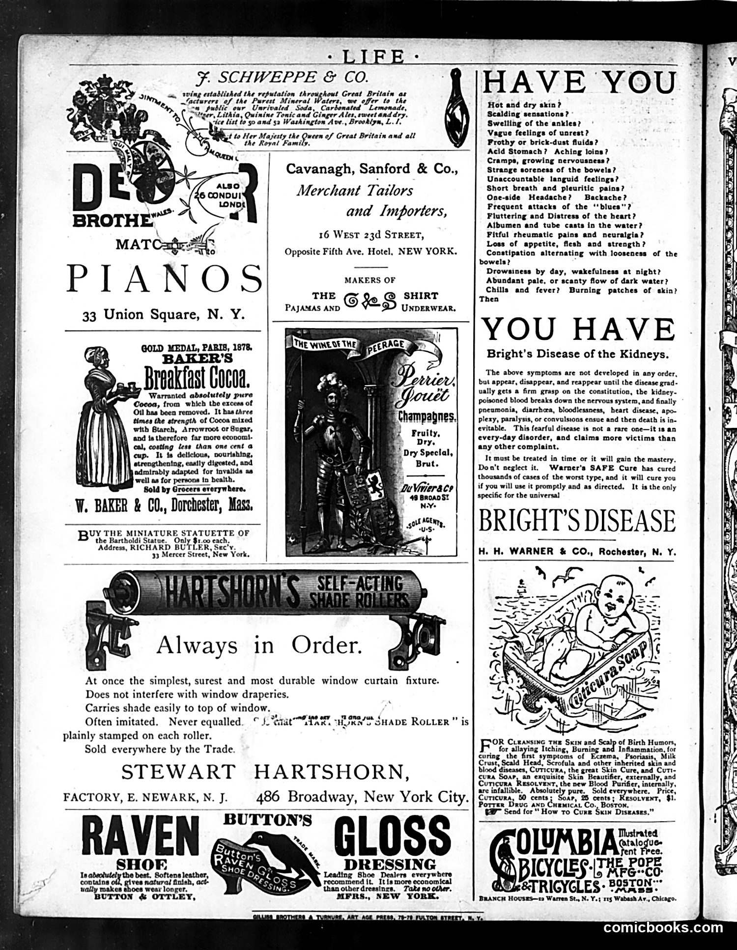 Life — September 17, 1885 — page 16 of 16