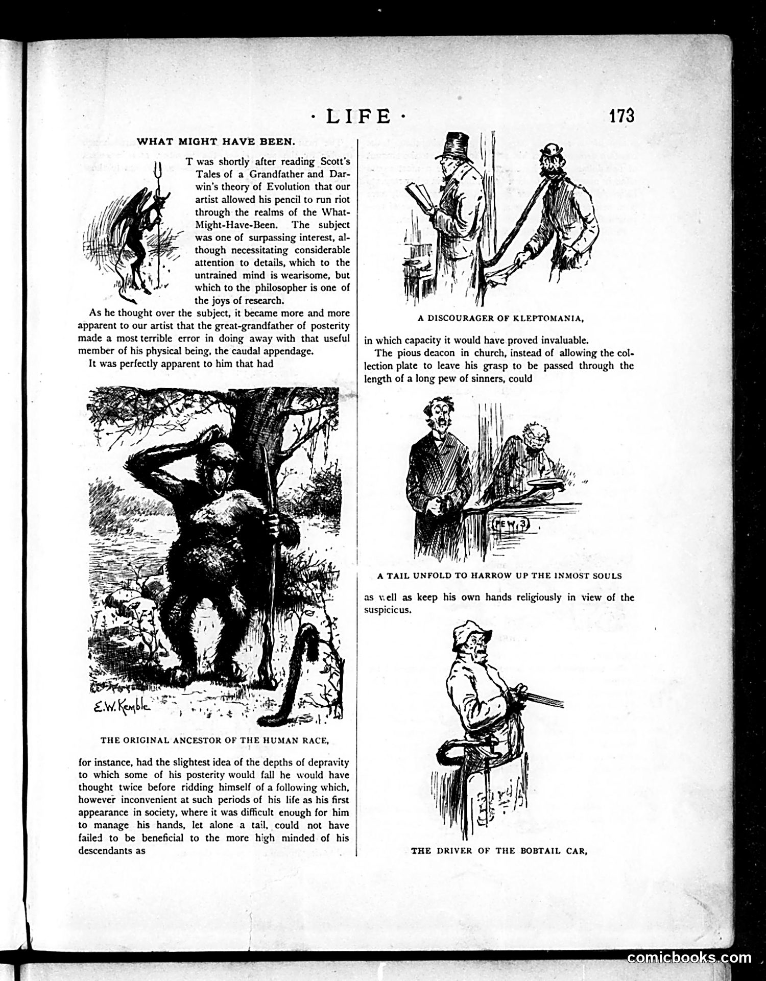 Life — September 24, 1885 — page 5 of 16