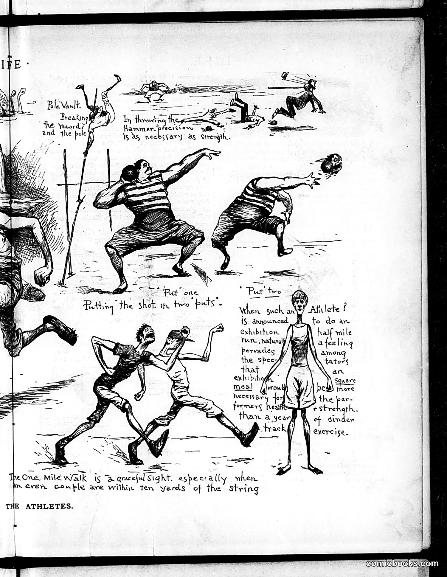 Life — September 24, 1885 — page 9 of 16