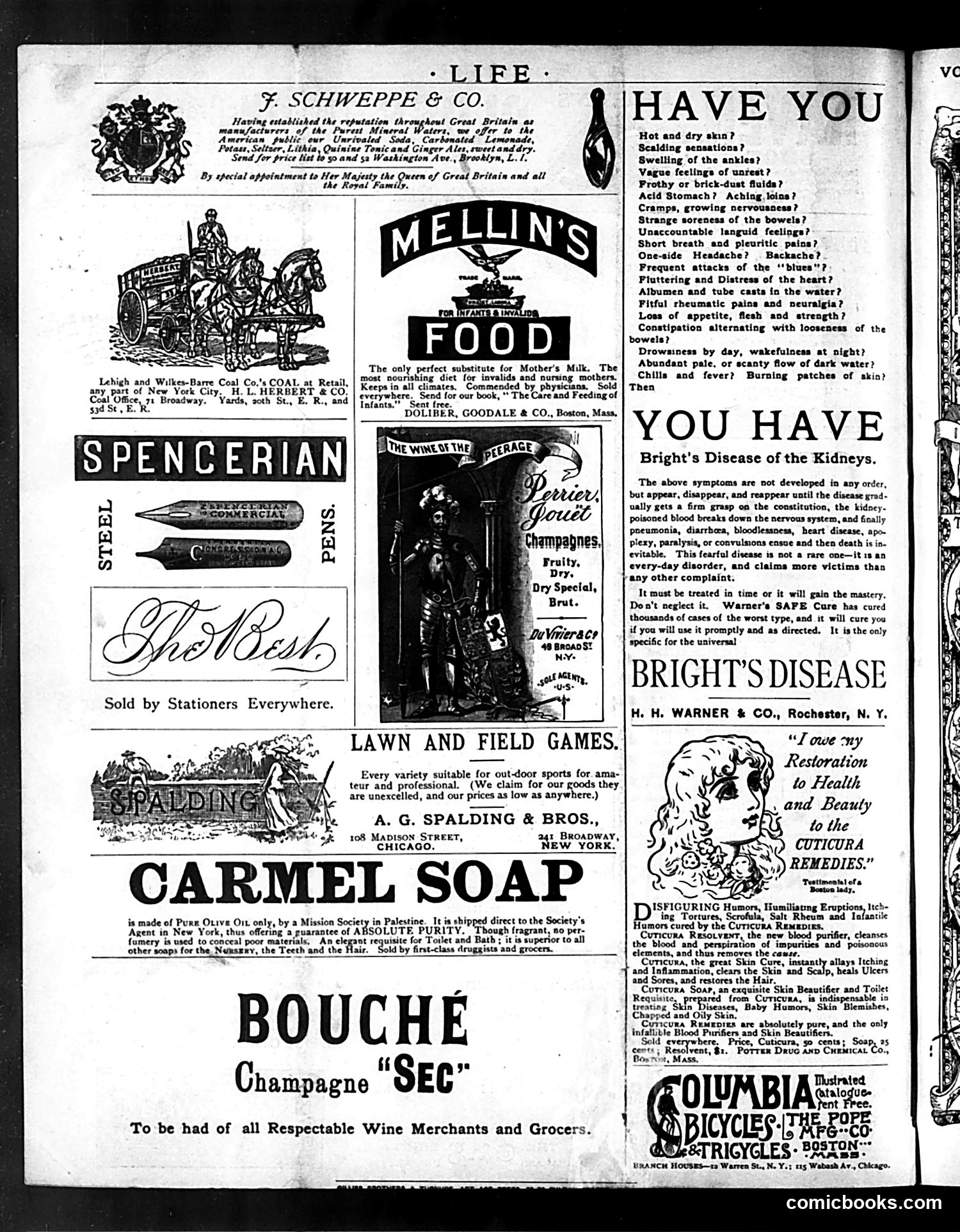 Life — September 24, 1885 — page 16 of 16