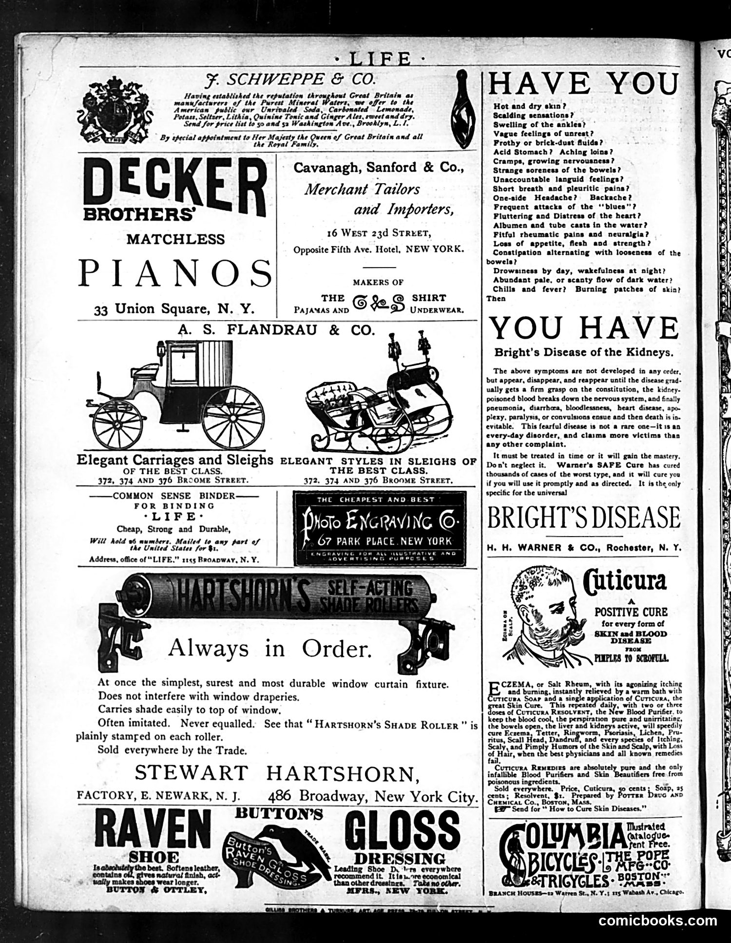 Life — October 1, 1885 — page 16 of 16