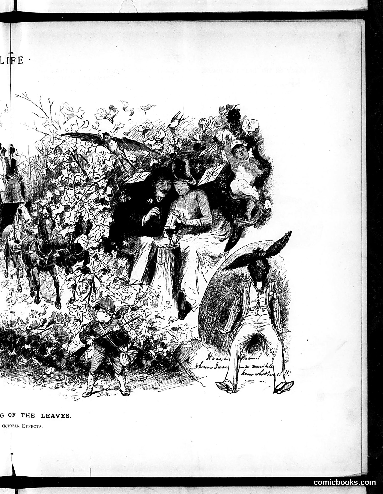 Life — October 8, 1885 — page 9 of 16