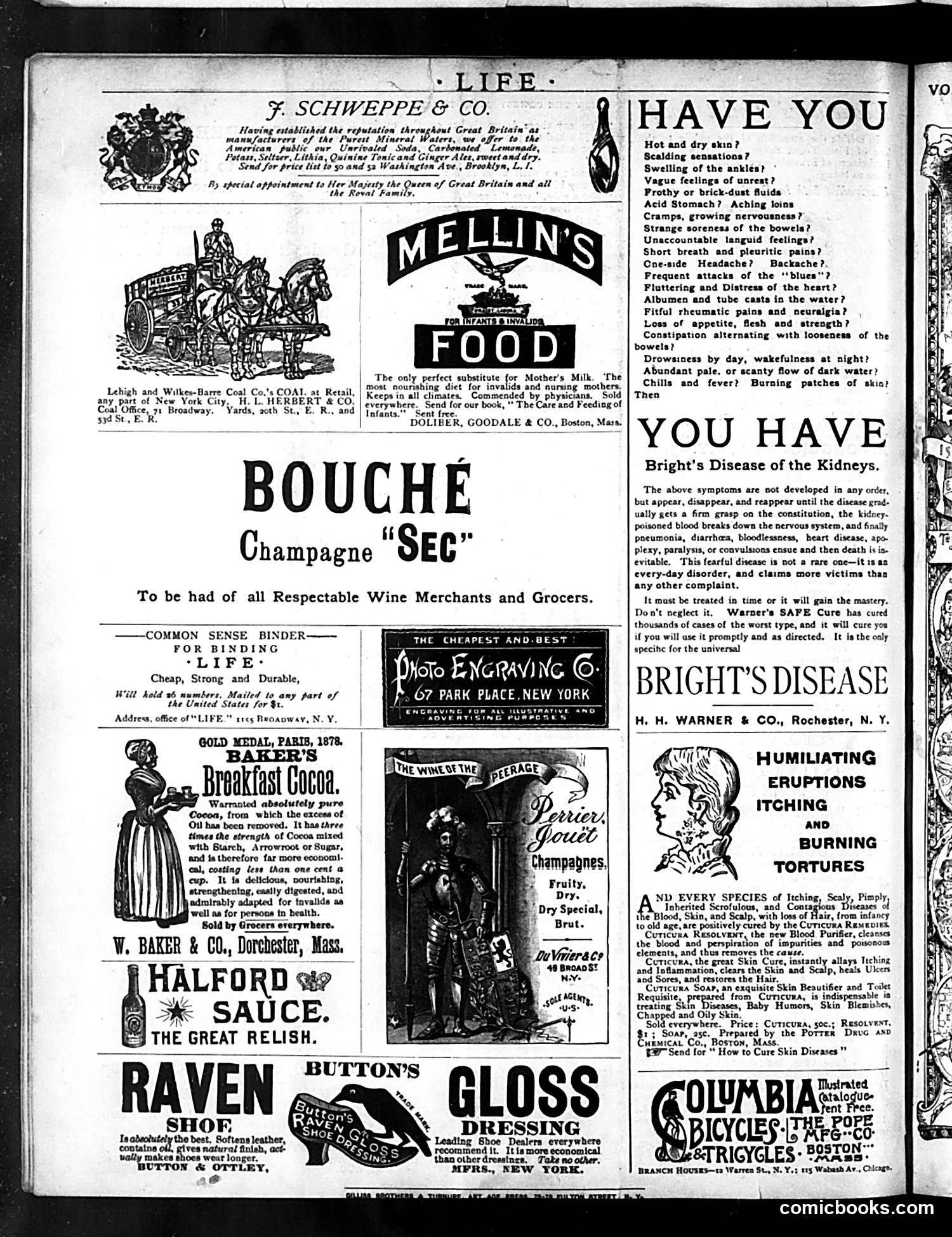 Life — October 8, 1885 — page 16 of 16