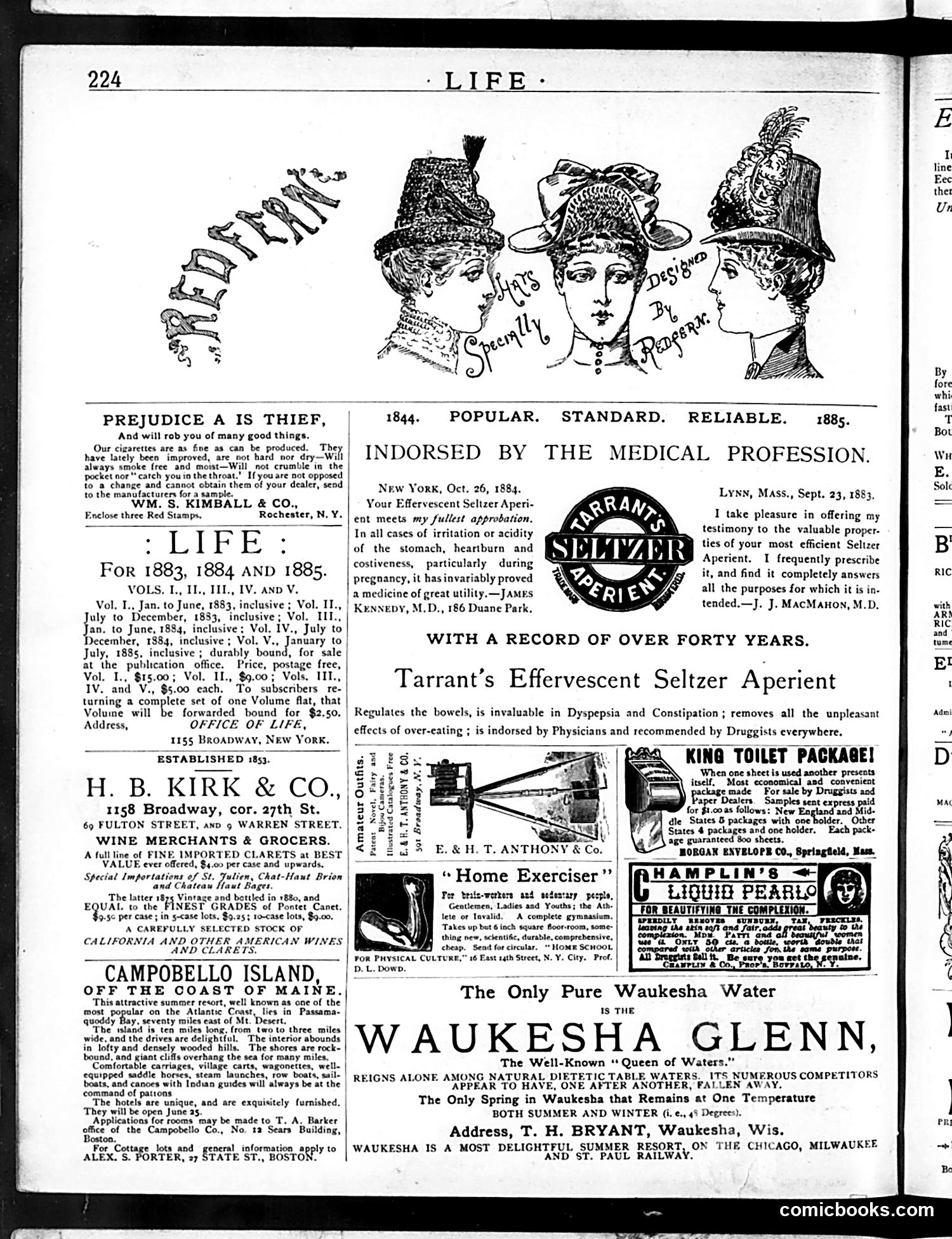Life — October 15, 1885 — page 14 of 16