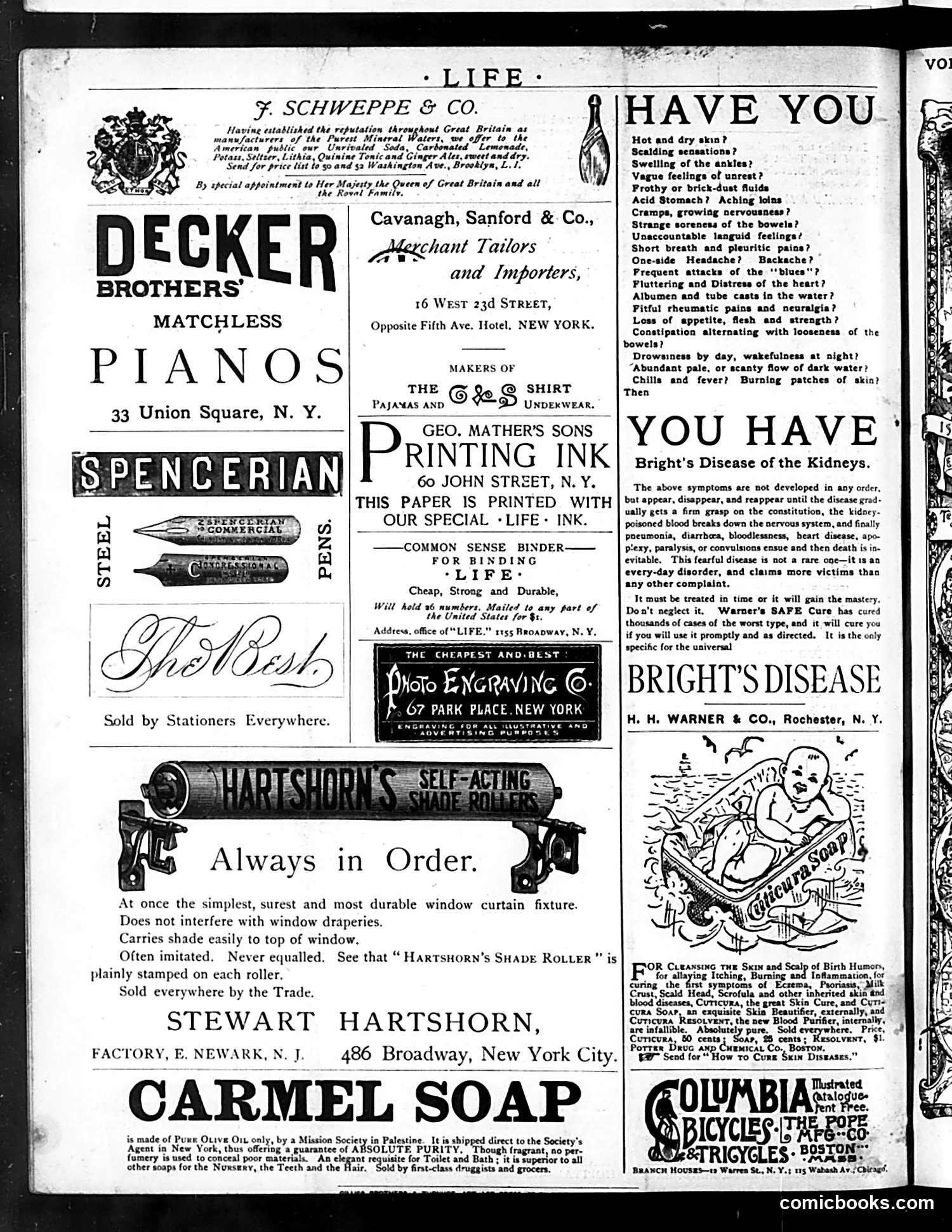 Life — October 15, 1885 — page 16 of 16