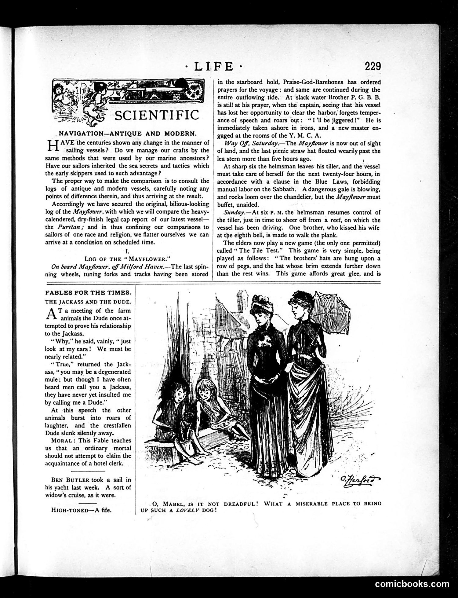 Life — October 22, 1885 — page 5 of 16