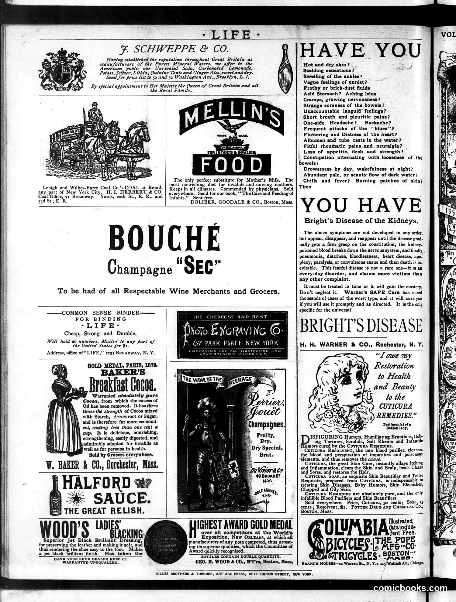 Life — October 22, 1885 — page 16 of 16