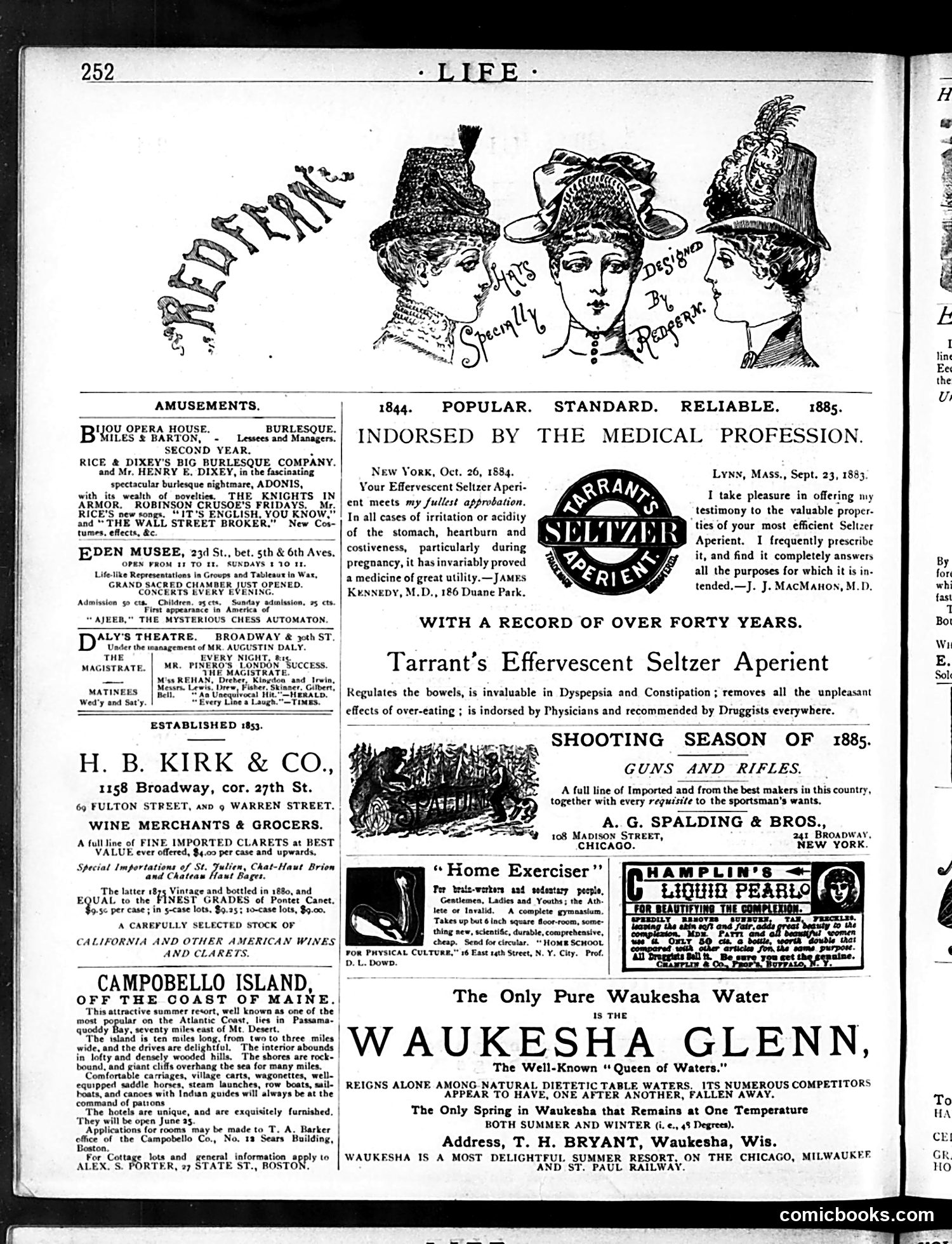 Life — October 29, 1885 — page 14 of 16
