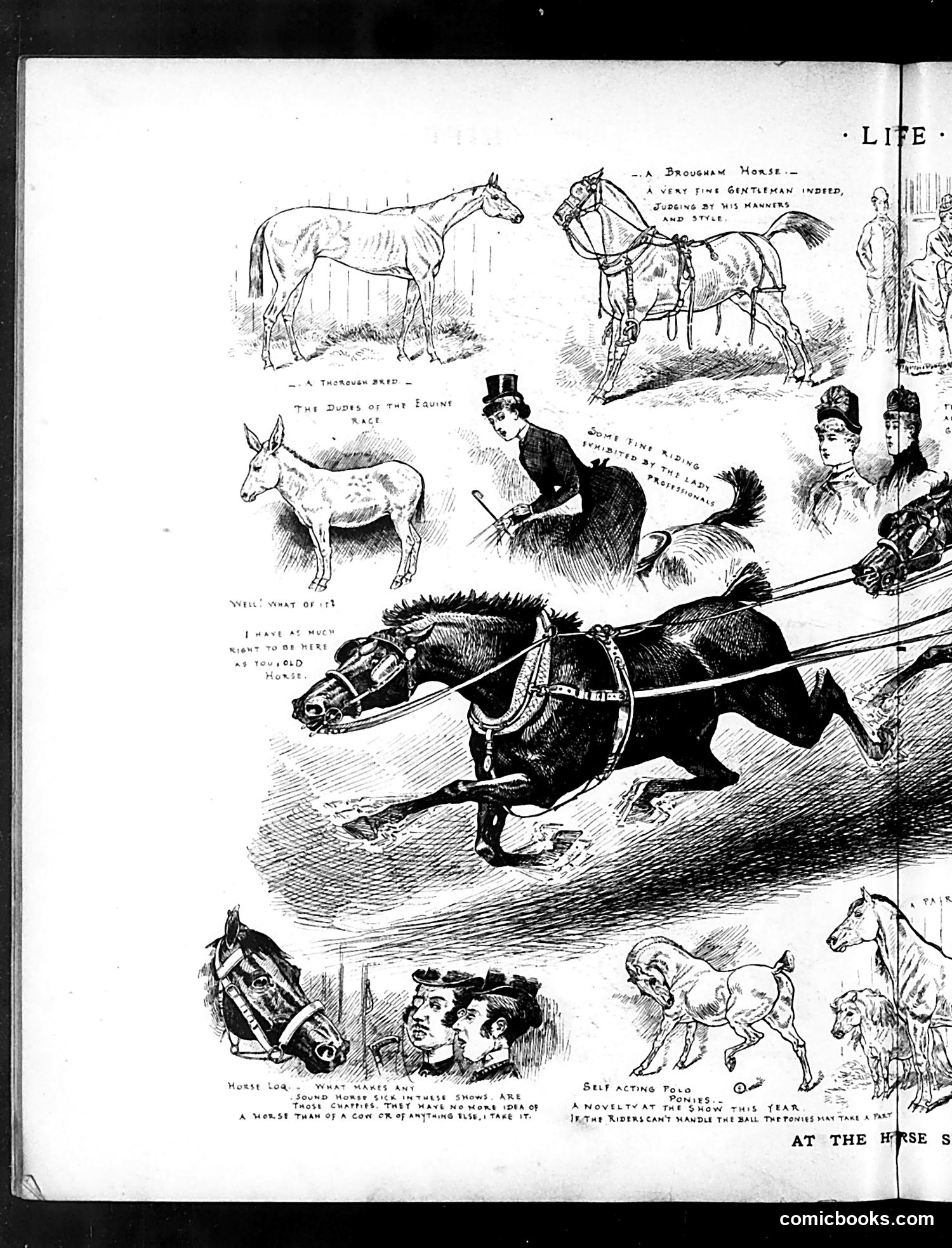 Life — November 5, 1885 — page 8 of 16