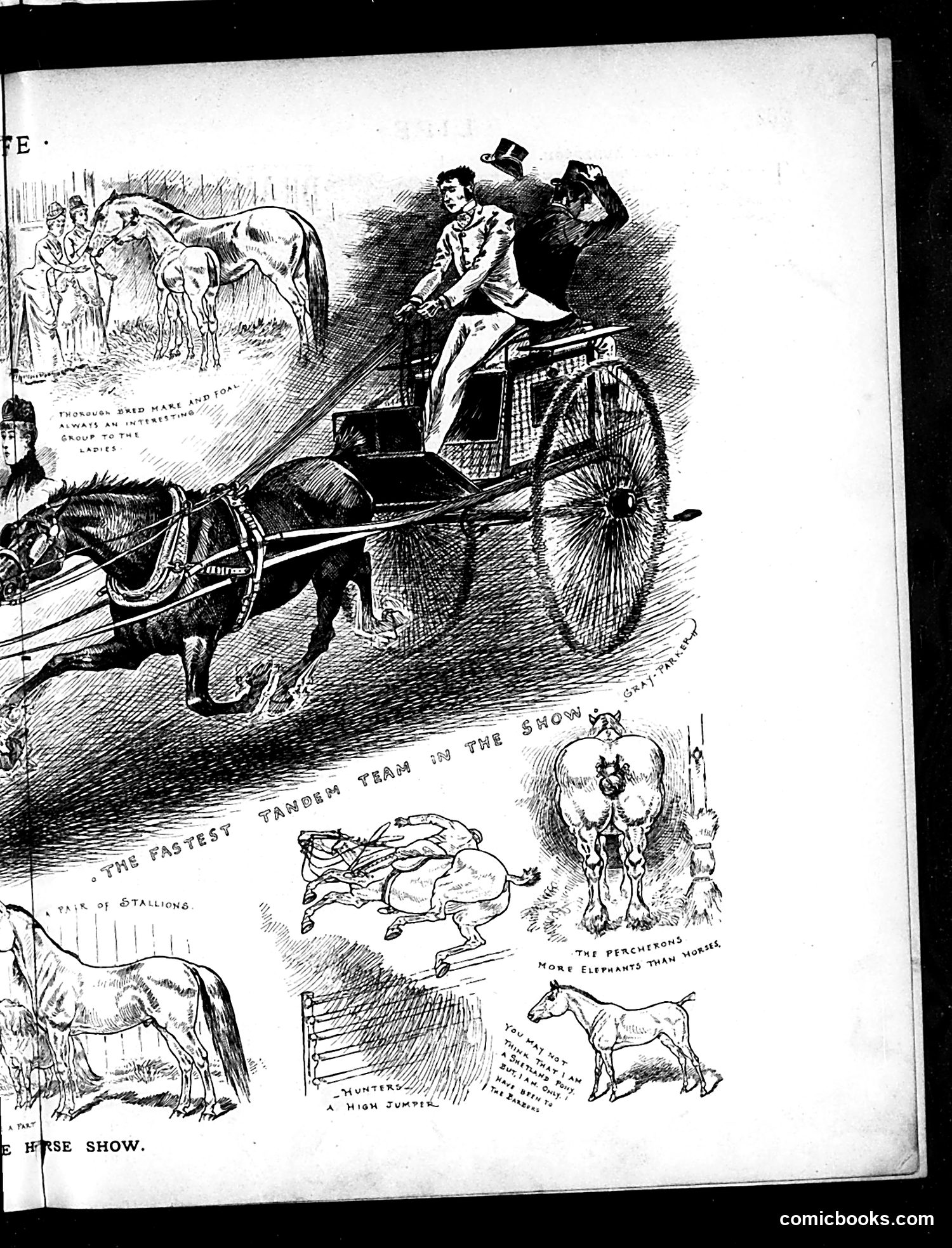 Life — November 5, 1885 — page 9 of 16