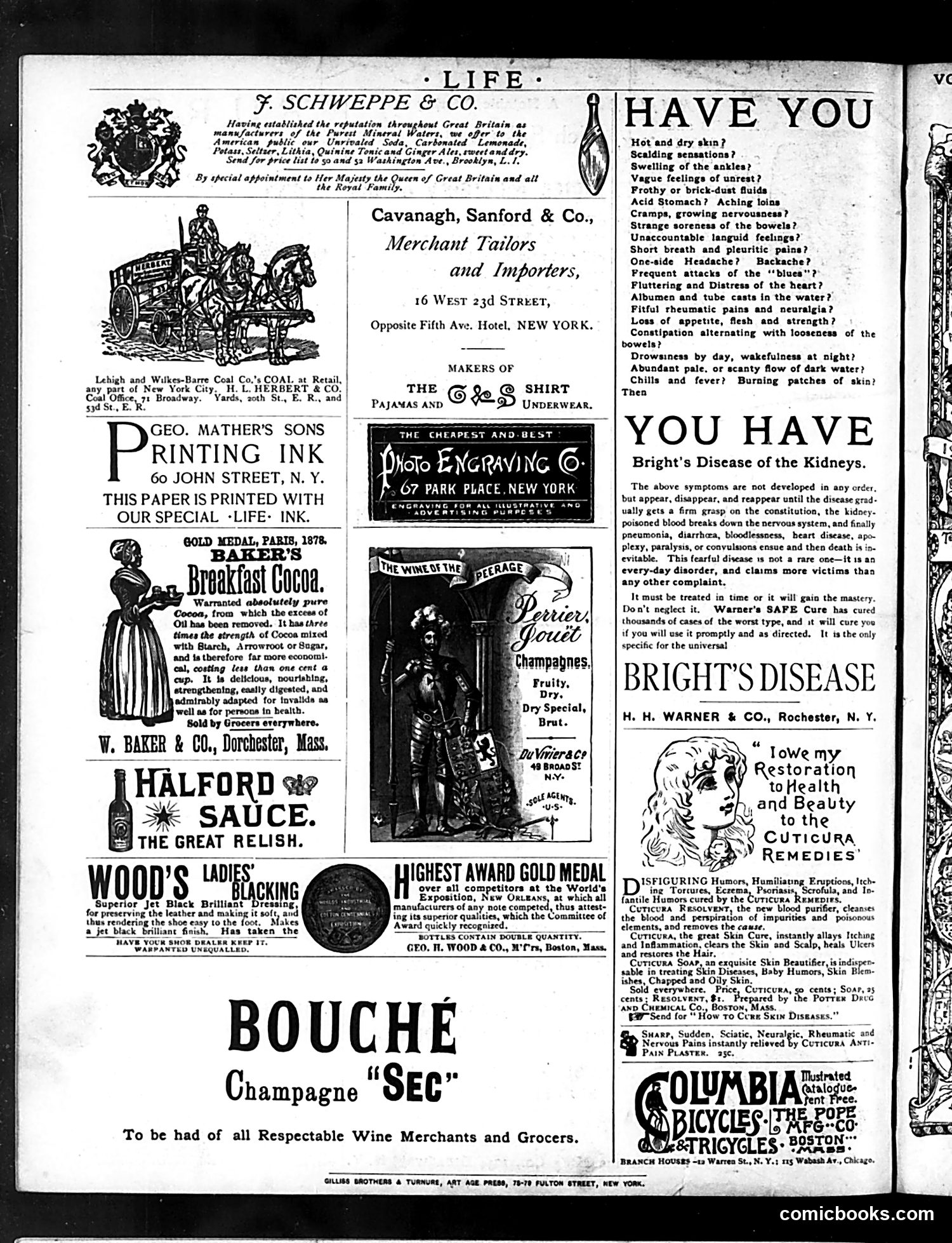 Life — November 5, 1885 — page 16 of 16