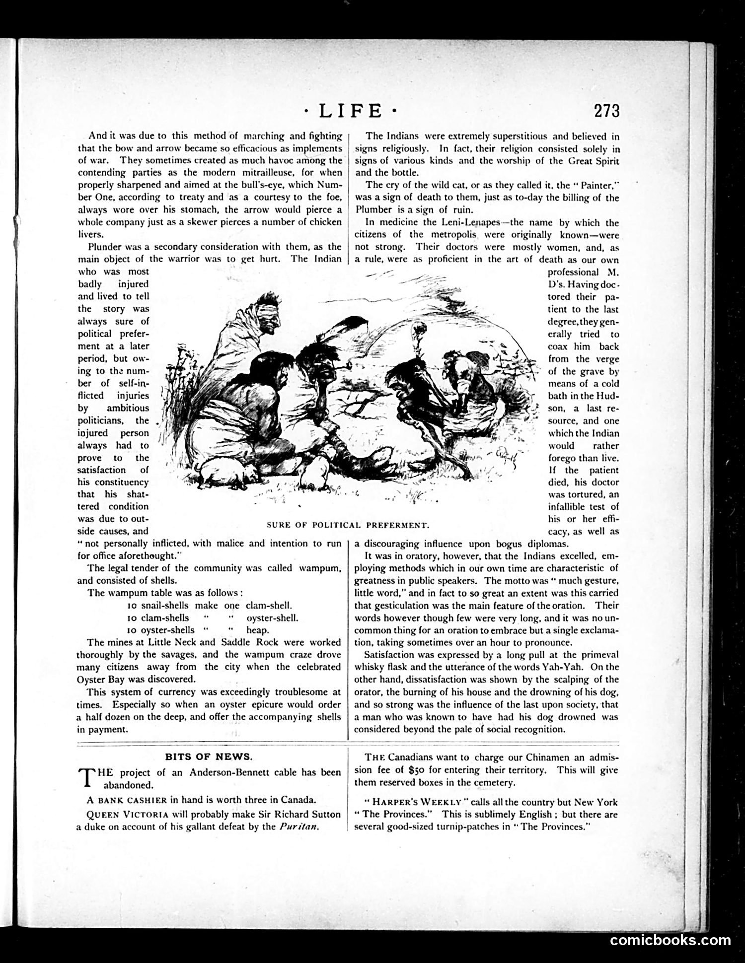 Life — November 12, 1885 — page 7 of 14
