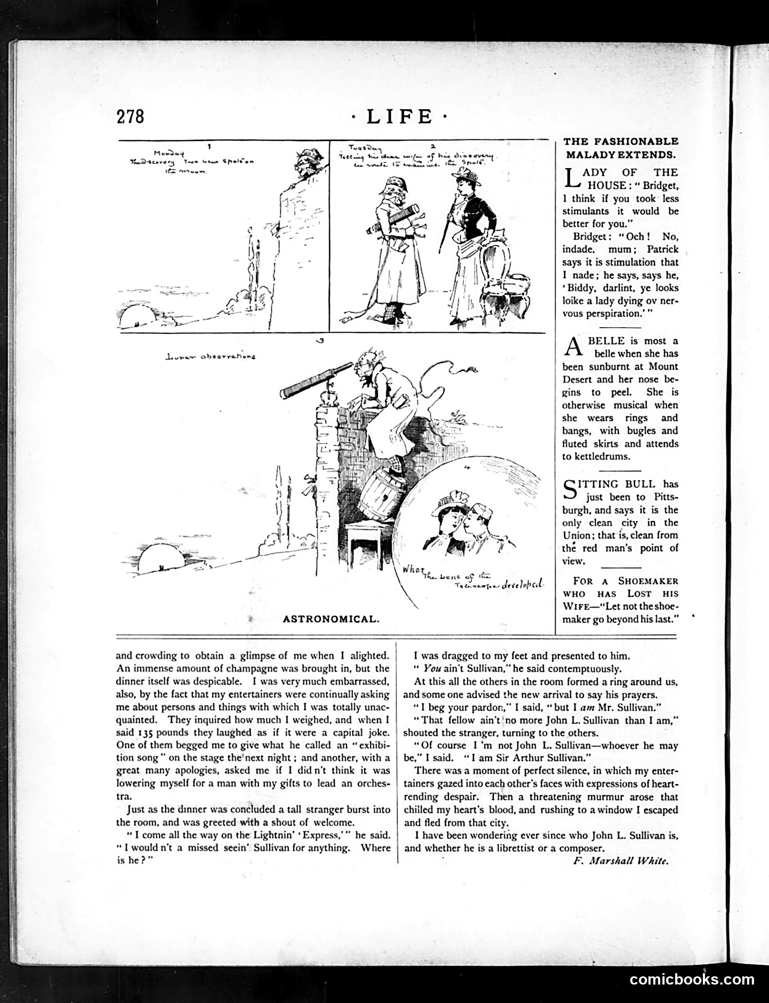 Life — November 12, 1885 — page 12 of 14