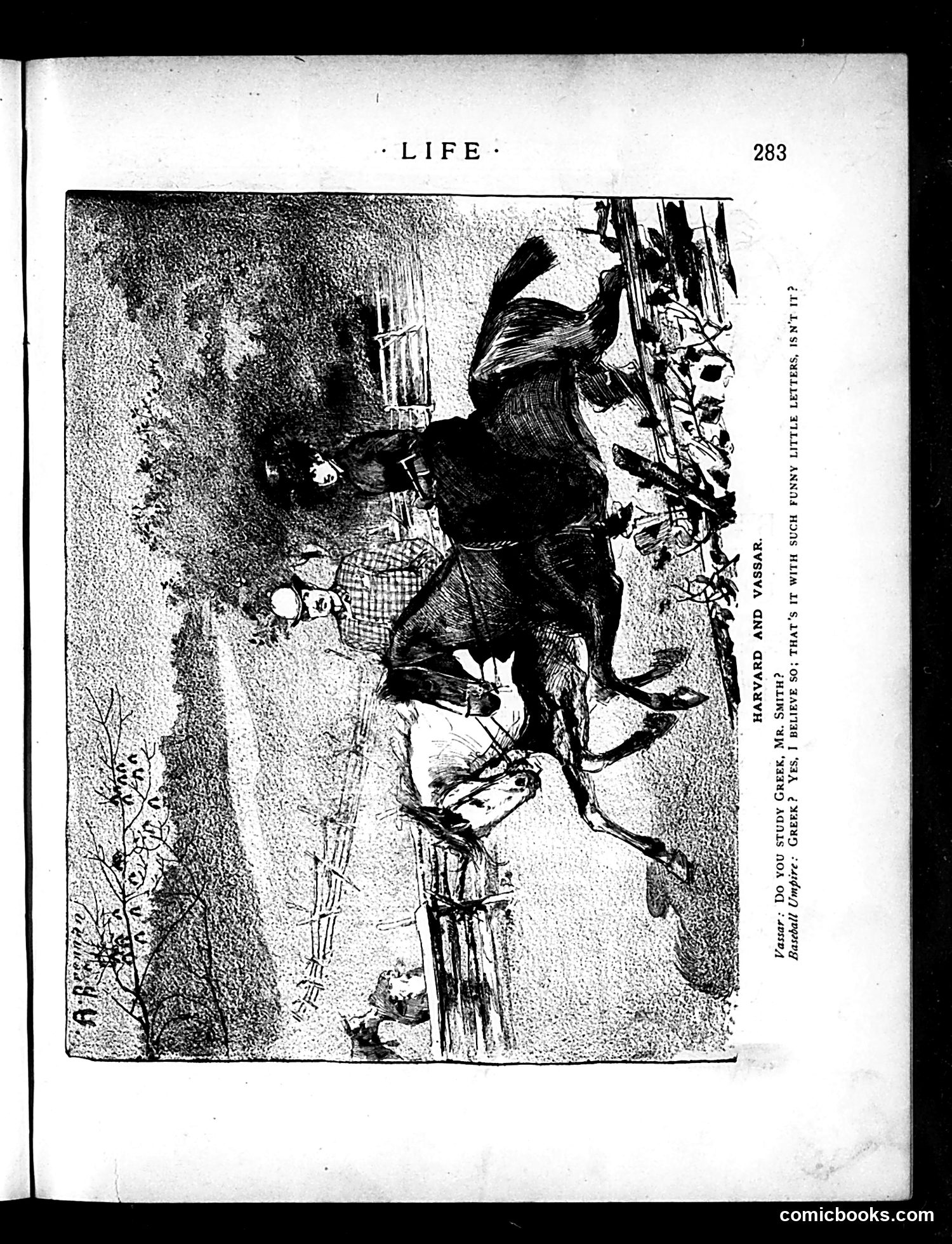Life — November 19, 1885 — page 3 of 18