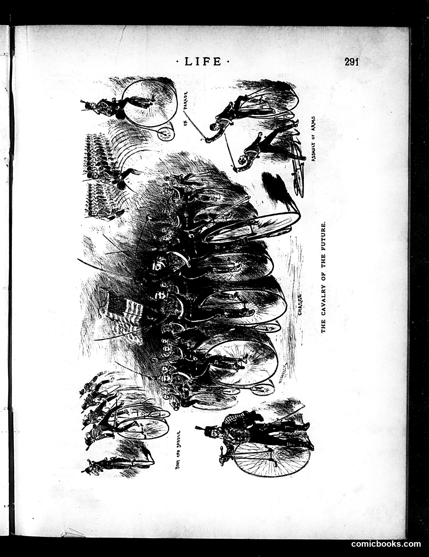 Life — November 19, 1885 — page 11 of 18